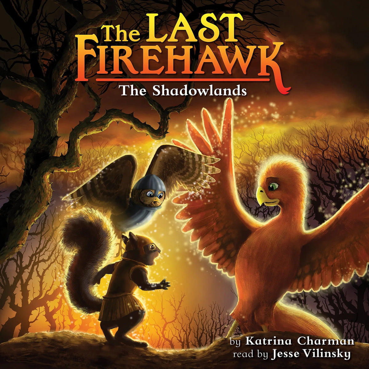 The Shadowlands (The Last Firehawk #5)