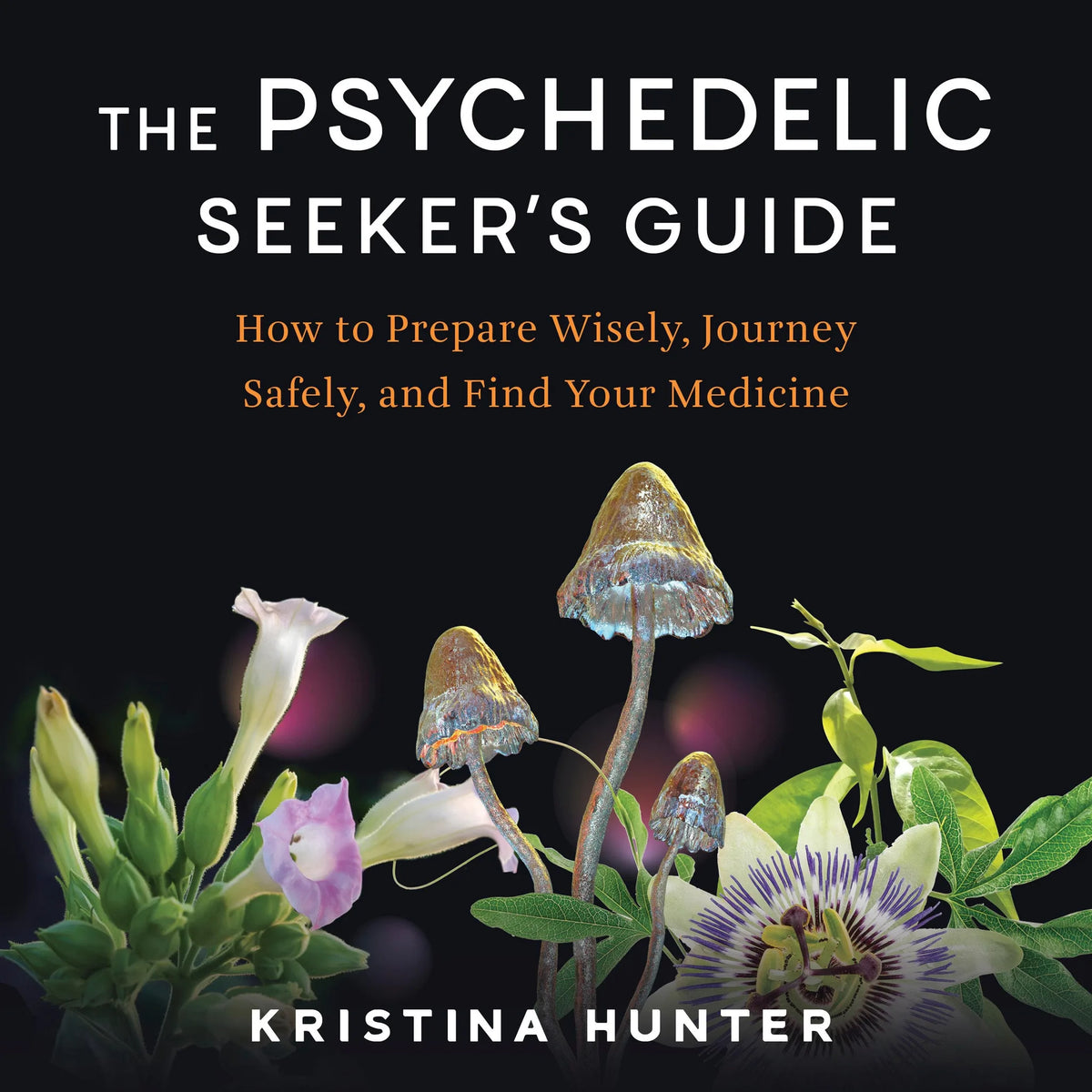 The Psychedelic Seeker's Guide