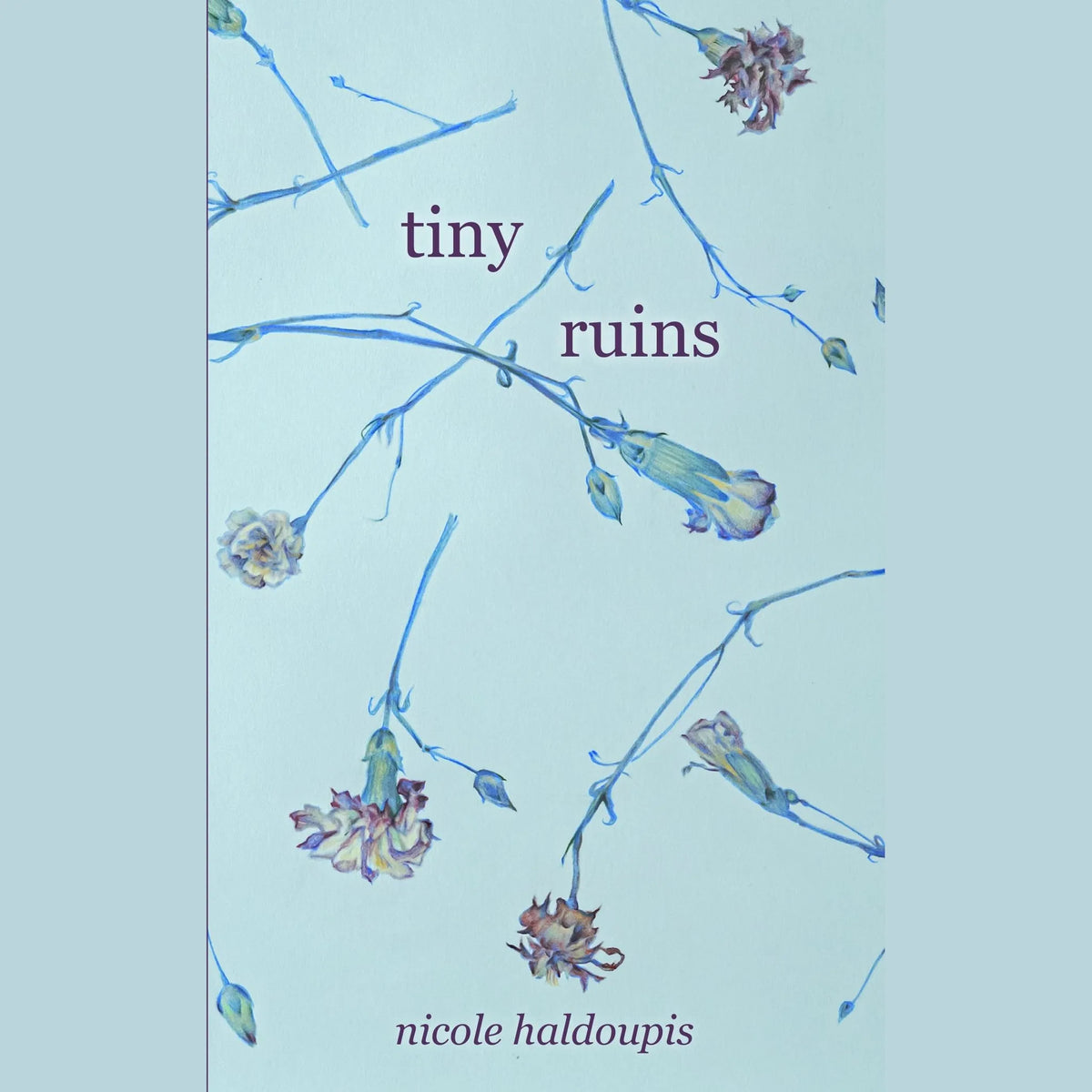 Tiny Ruins