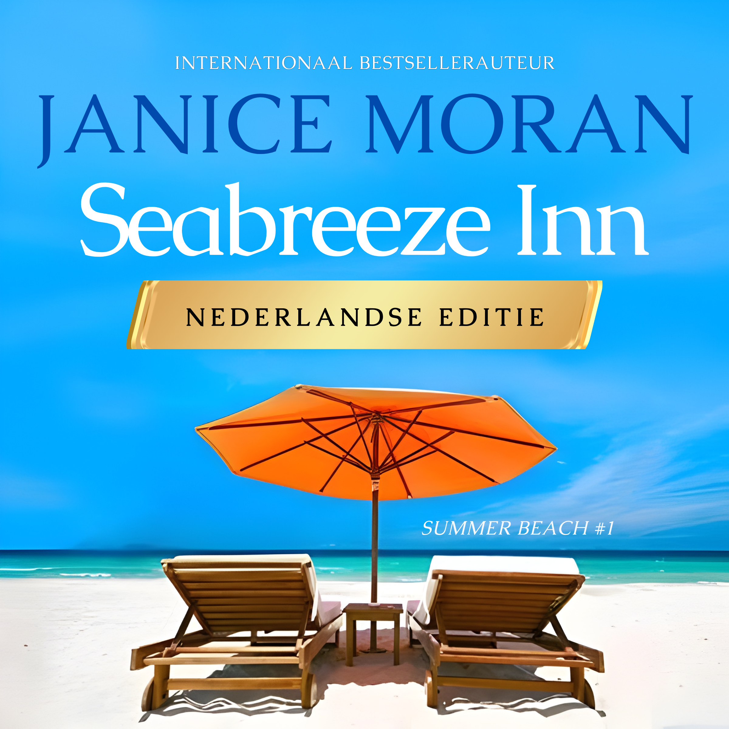 Seabreeze Inn: Nederlands
