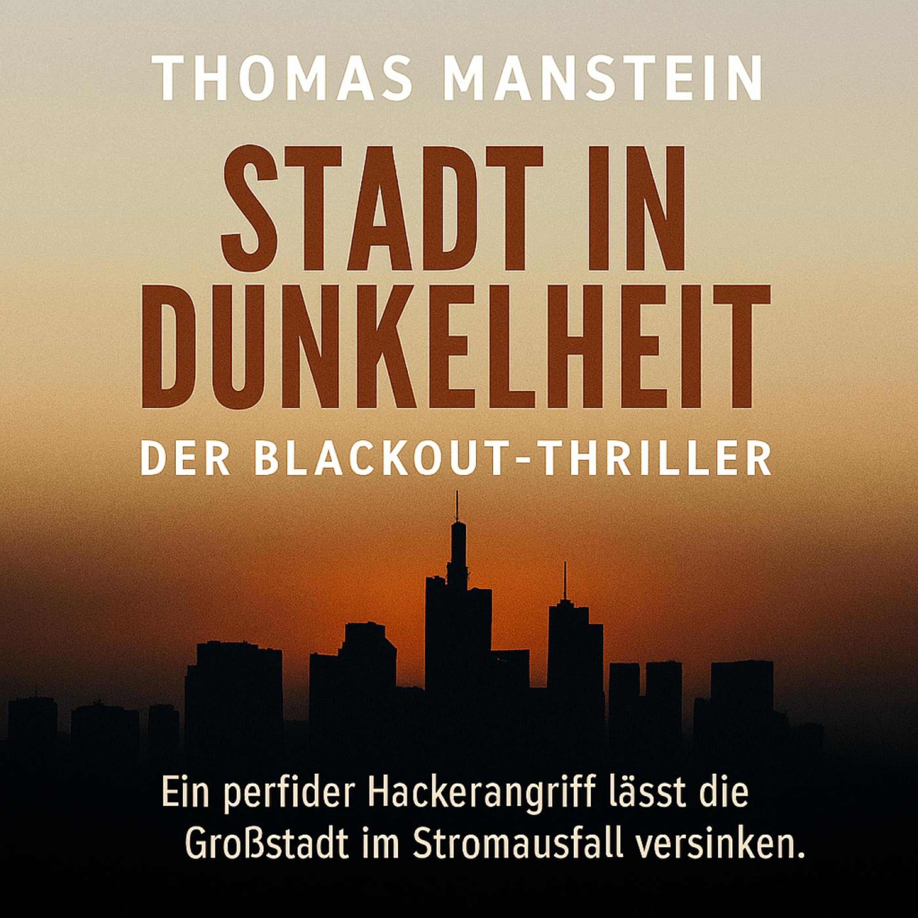 Stadt in Dunkelheit - Der Blackout-Thriller