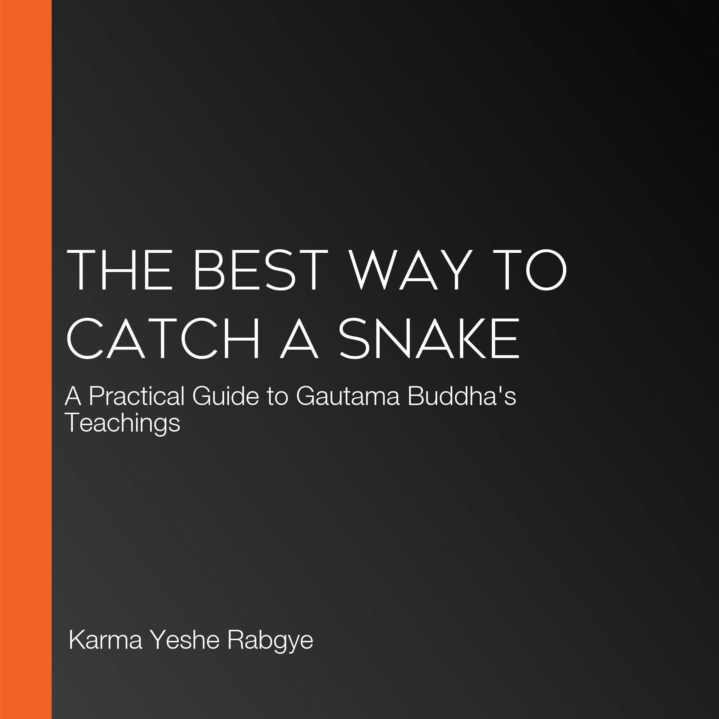 The Best Way to Catch a Snake