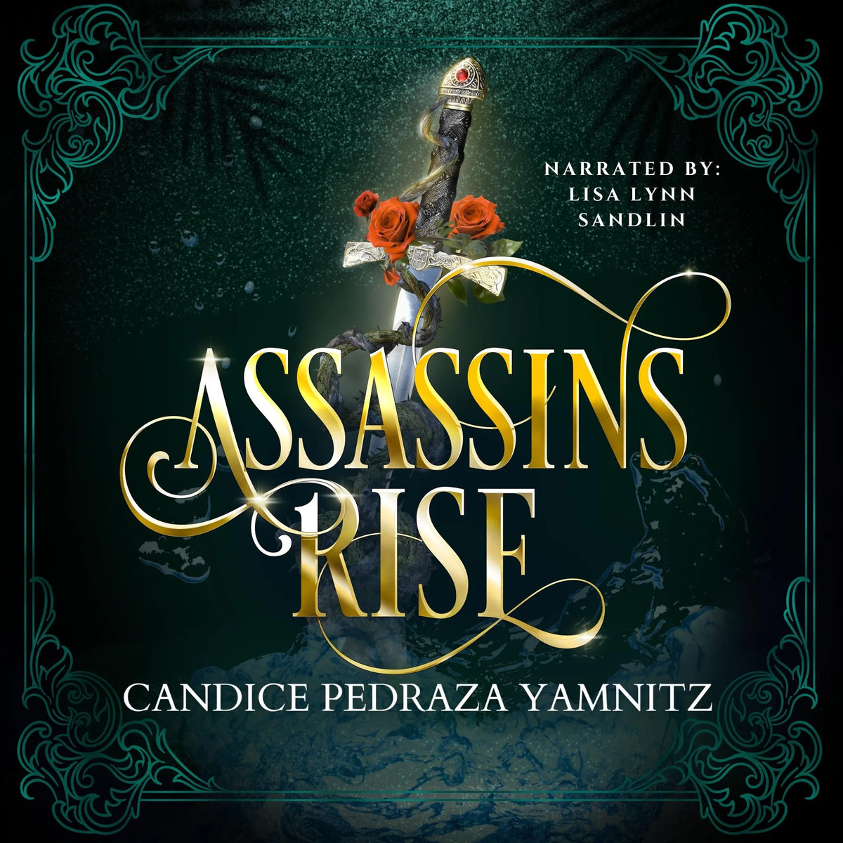 Assassins Rise