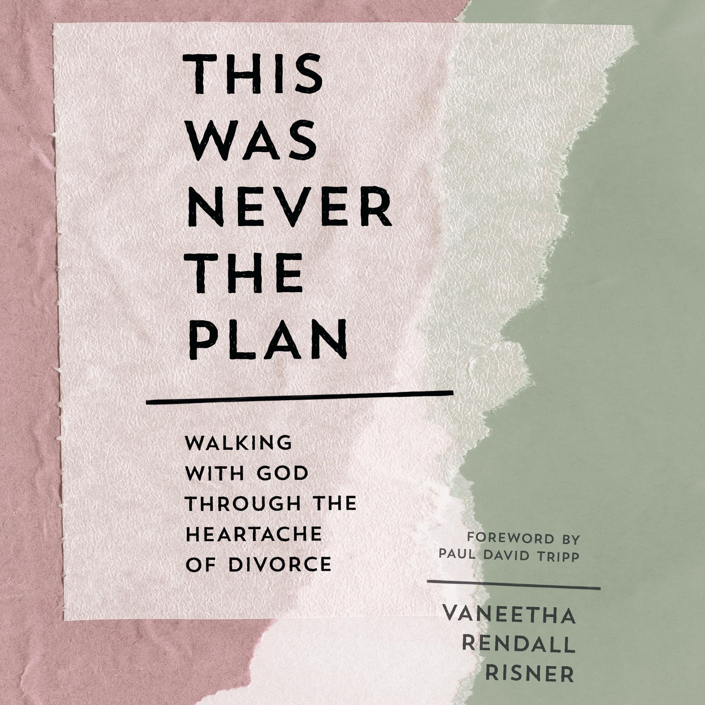 This Was Never the Plan