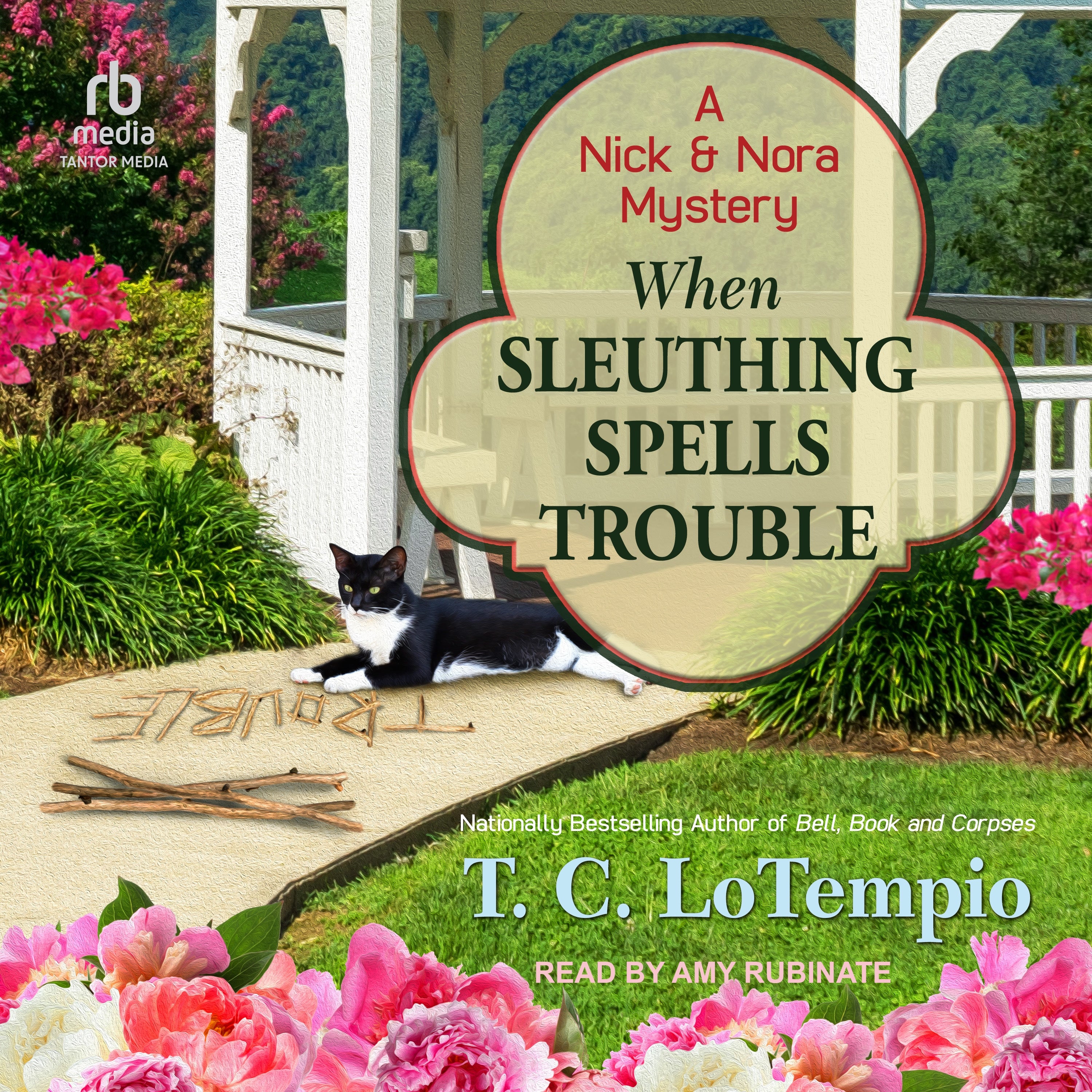 When Sleuthing Spells Trouble