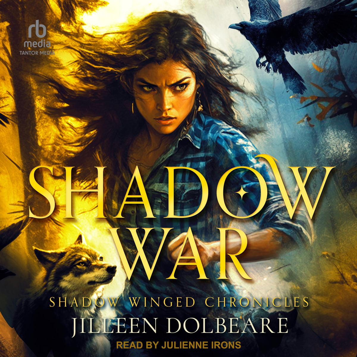 Shadow War