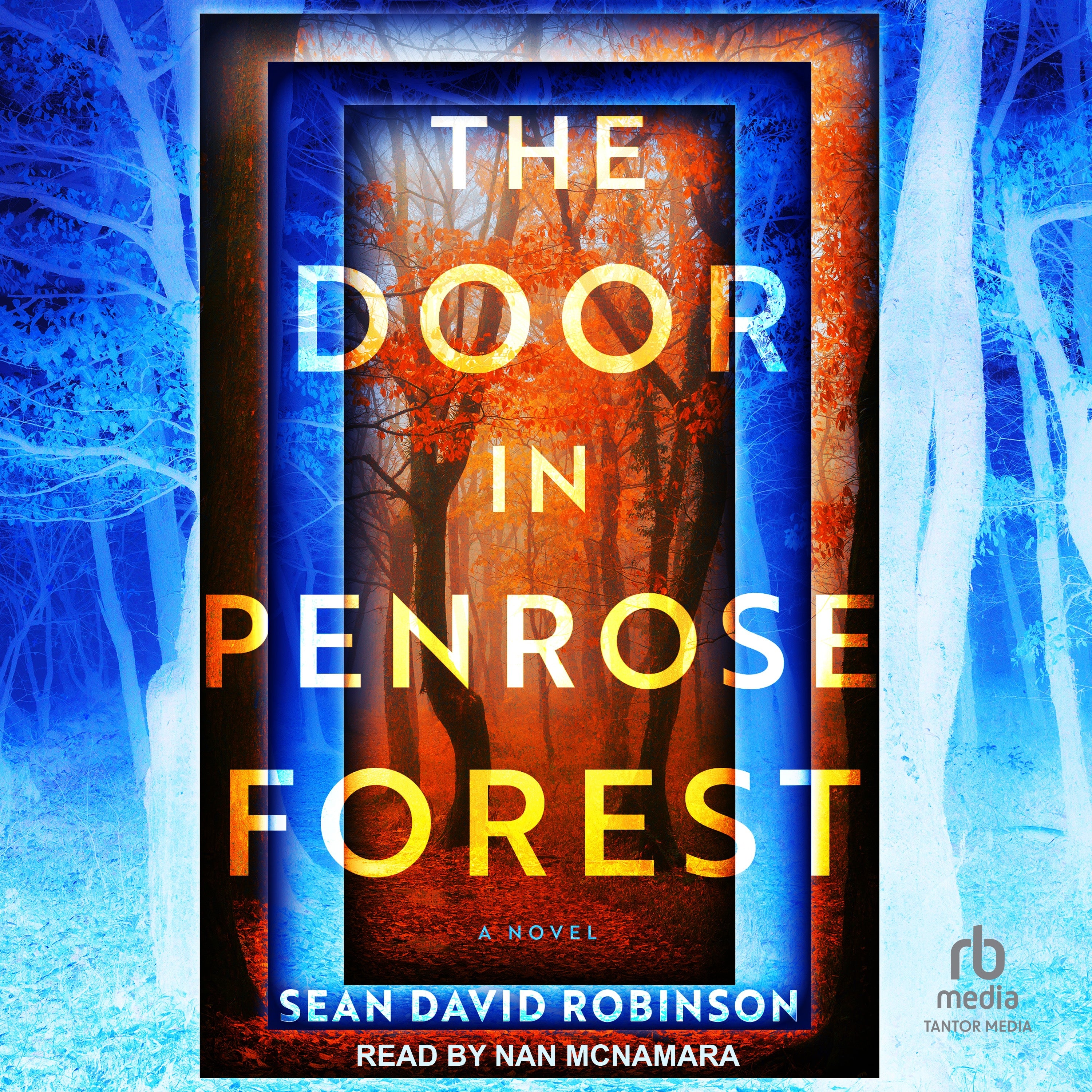 The Door in Penrose Forest