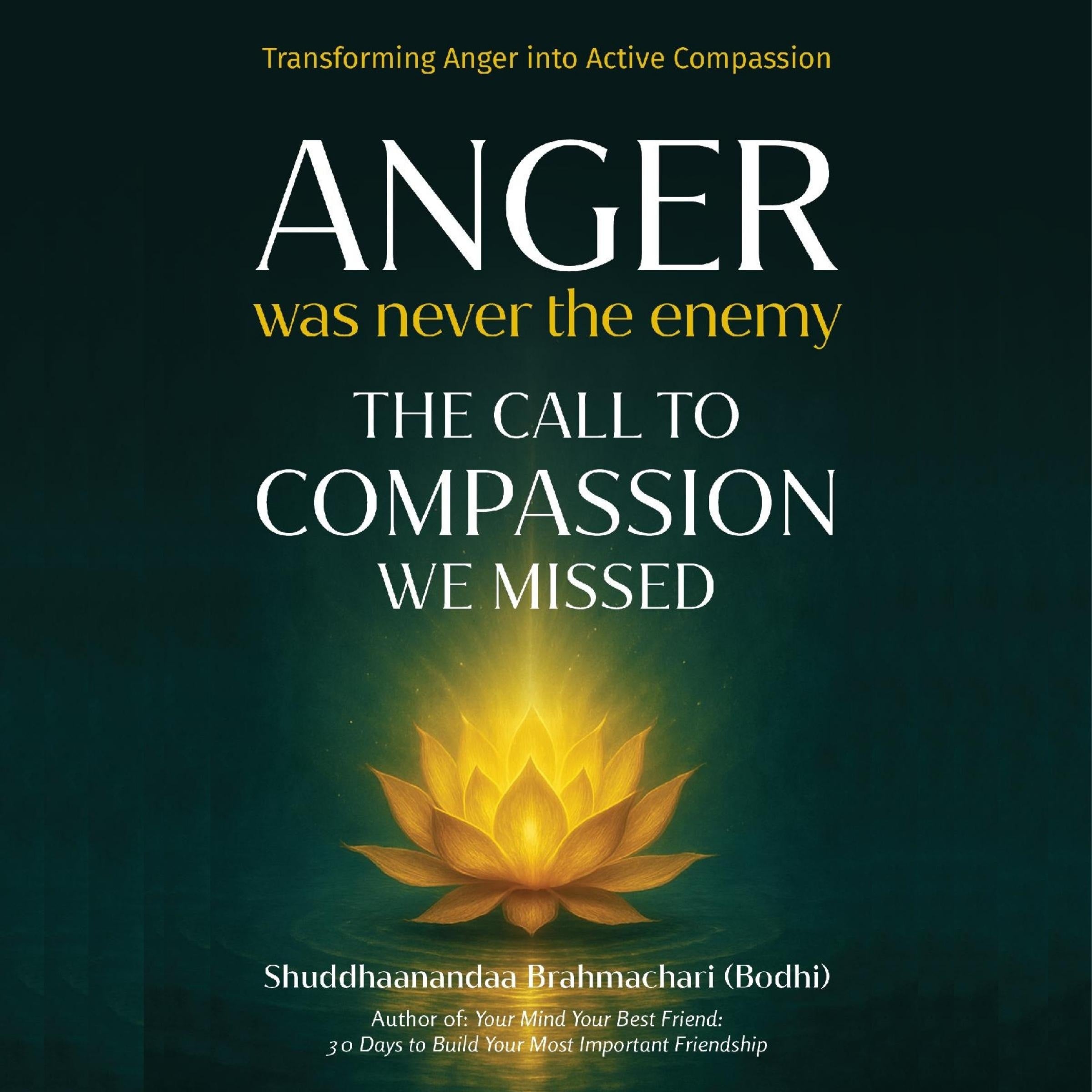Anger Was Never The Enemy