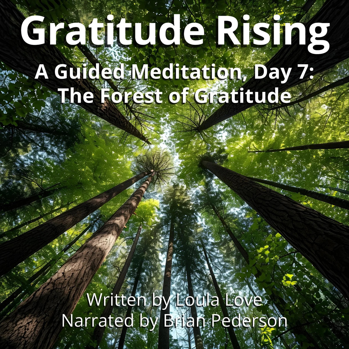 Gratitude Rising, Day 7: A Guided Meditation