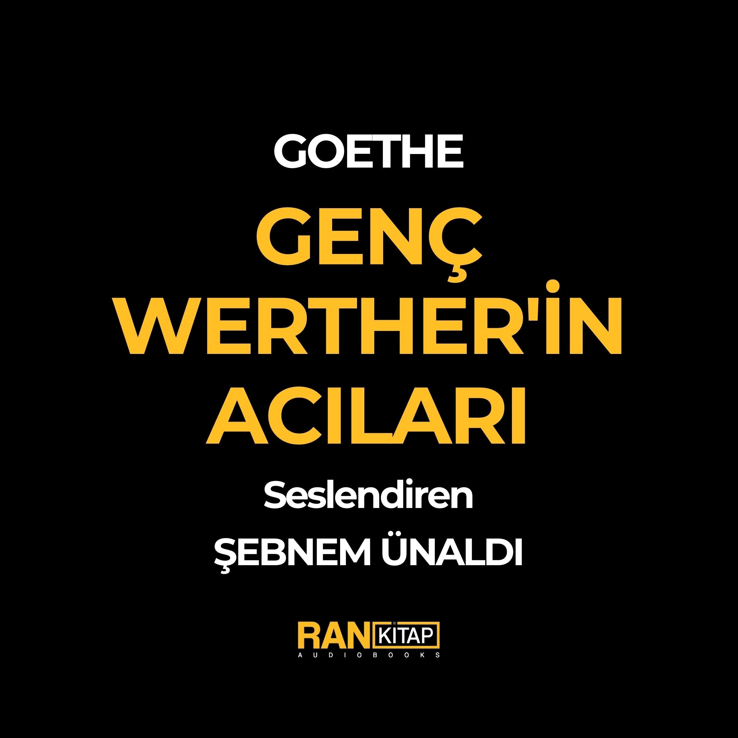 Genç Werher'in Acıları