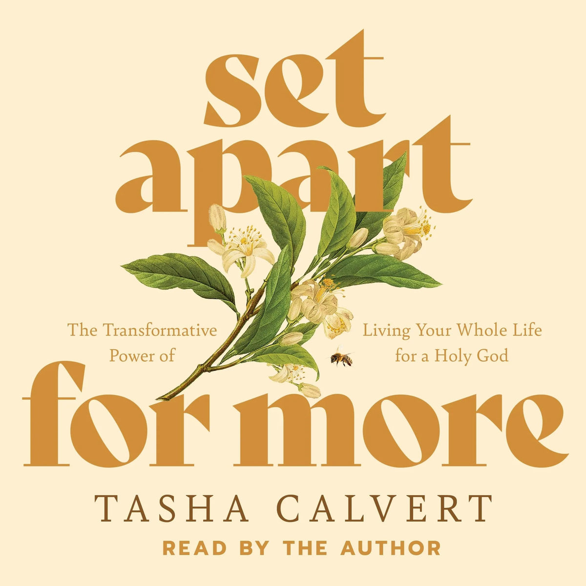 Set Apart for More