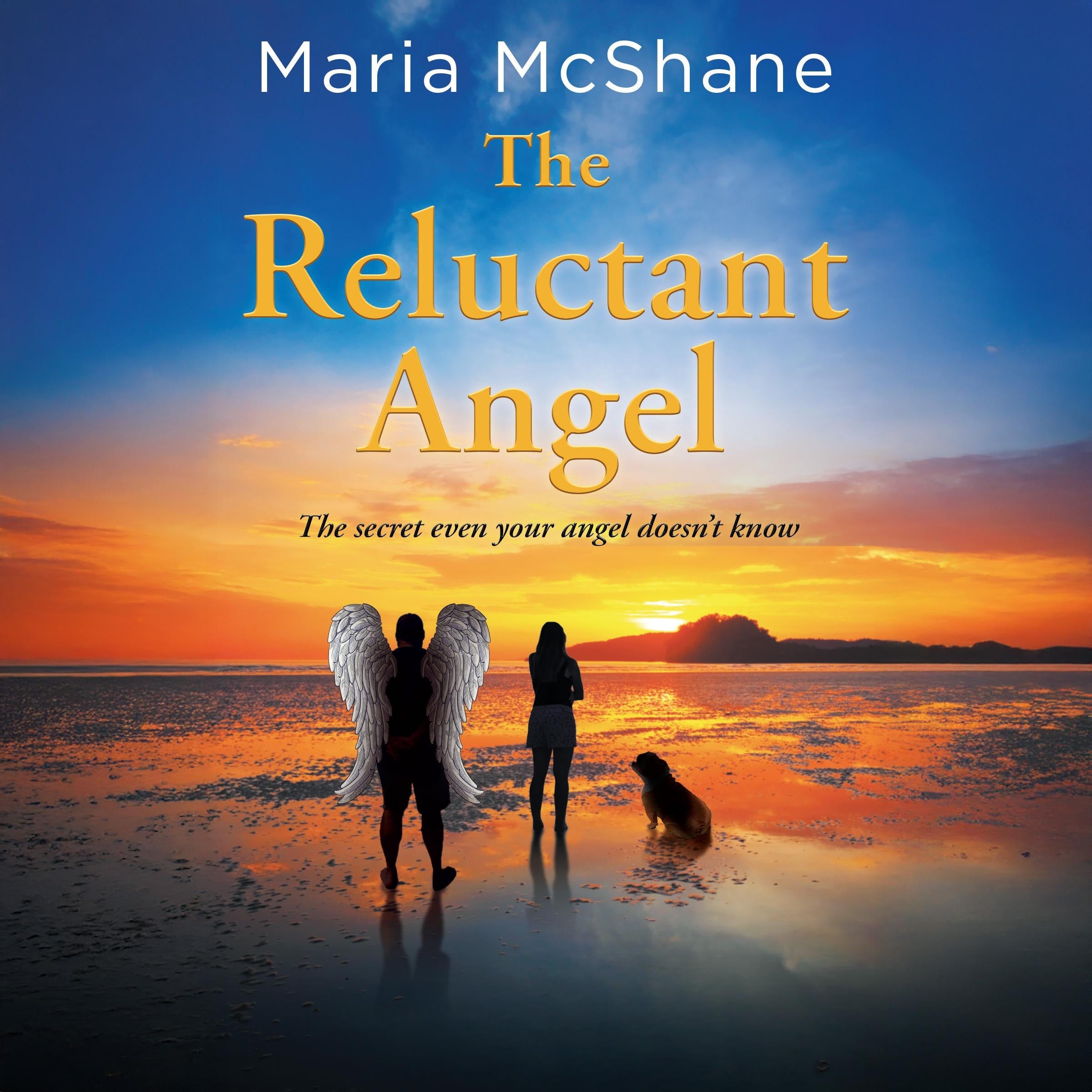 The Reluctant Angel