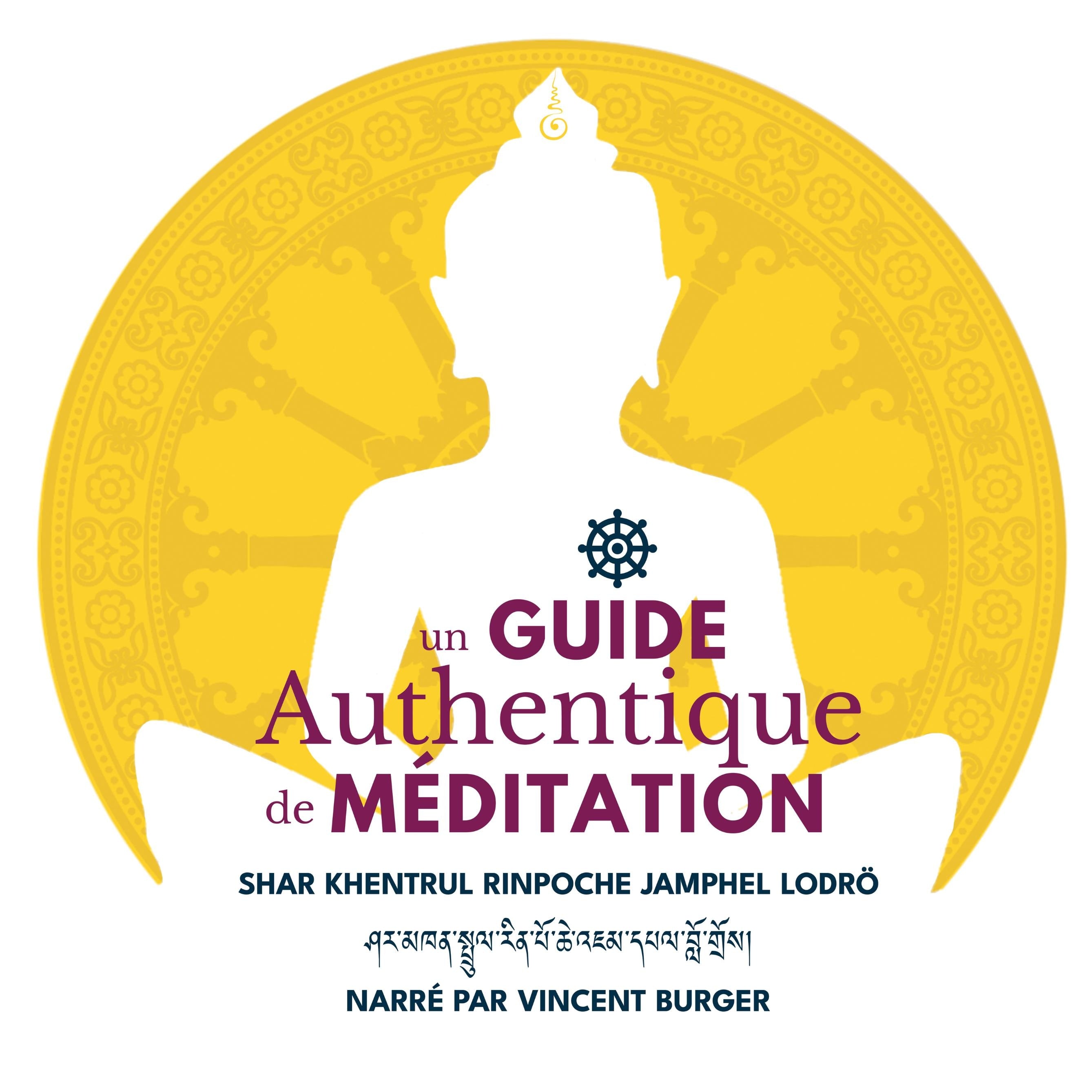 Un Guide De Méditation Authentique