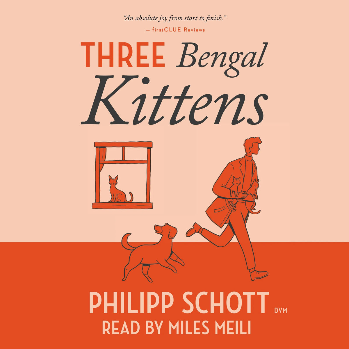 Three Bengal Kittens