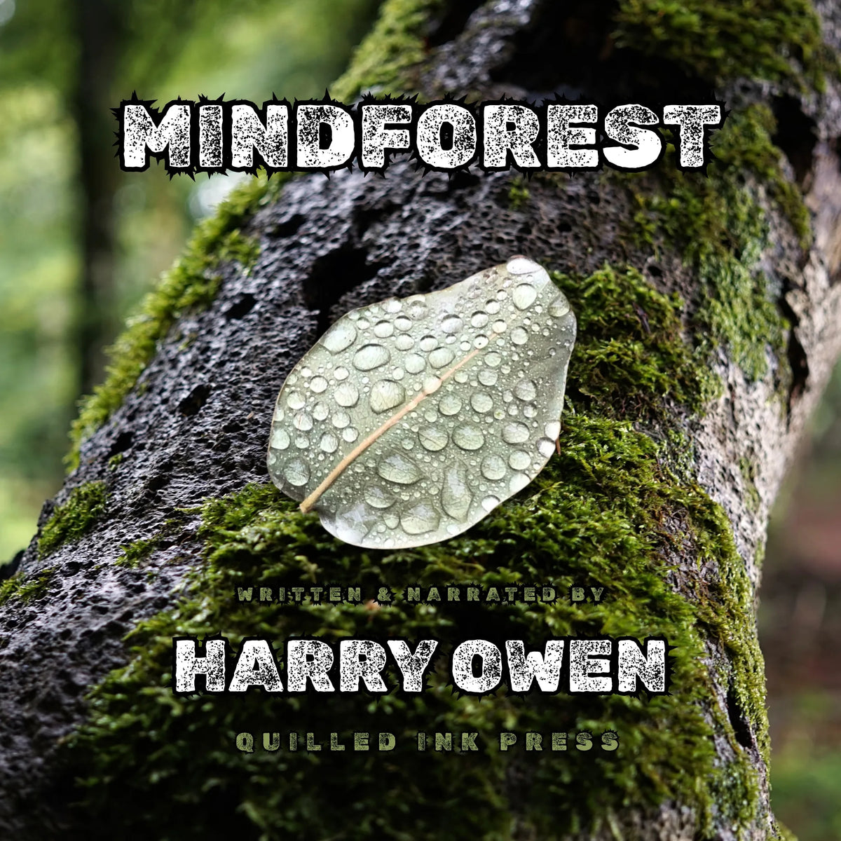 Mindforest