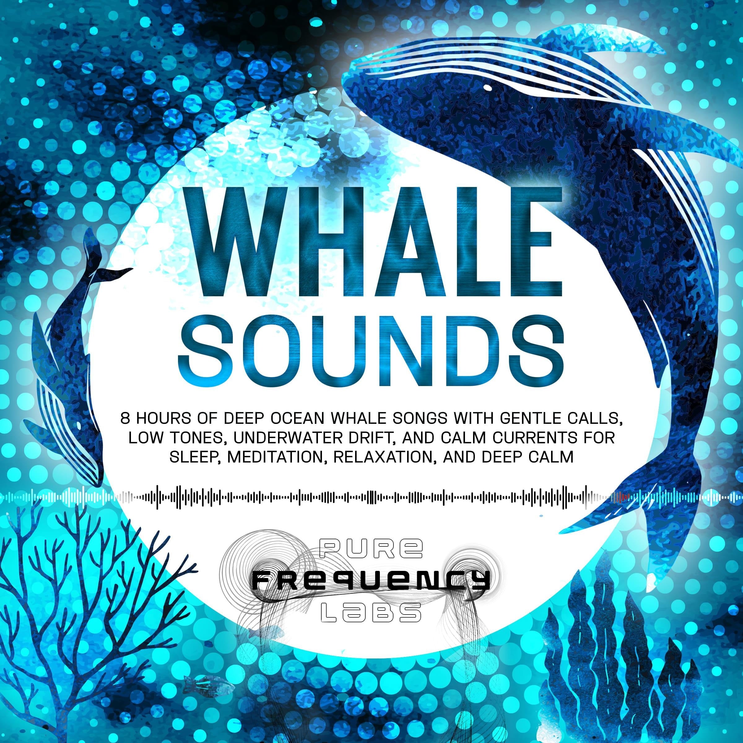 Whale Sounds: 8 Hours of Deep Ocean Whale Songs with Gentle Calls, Low Tones, Underwater Drift, and Calm Currents for Sleep, Meditation, Relaxation, and Deep Calm