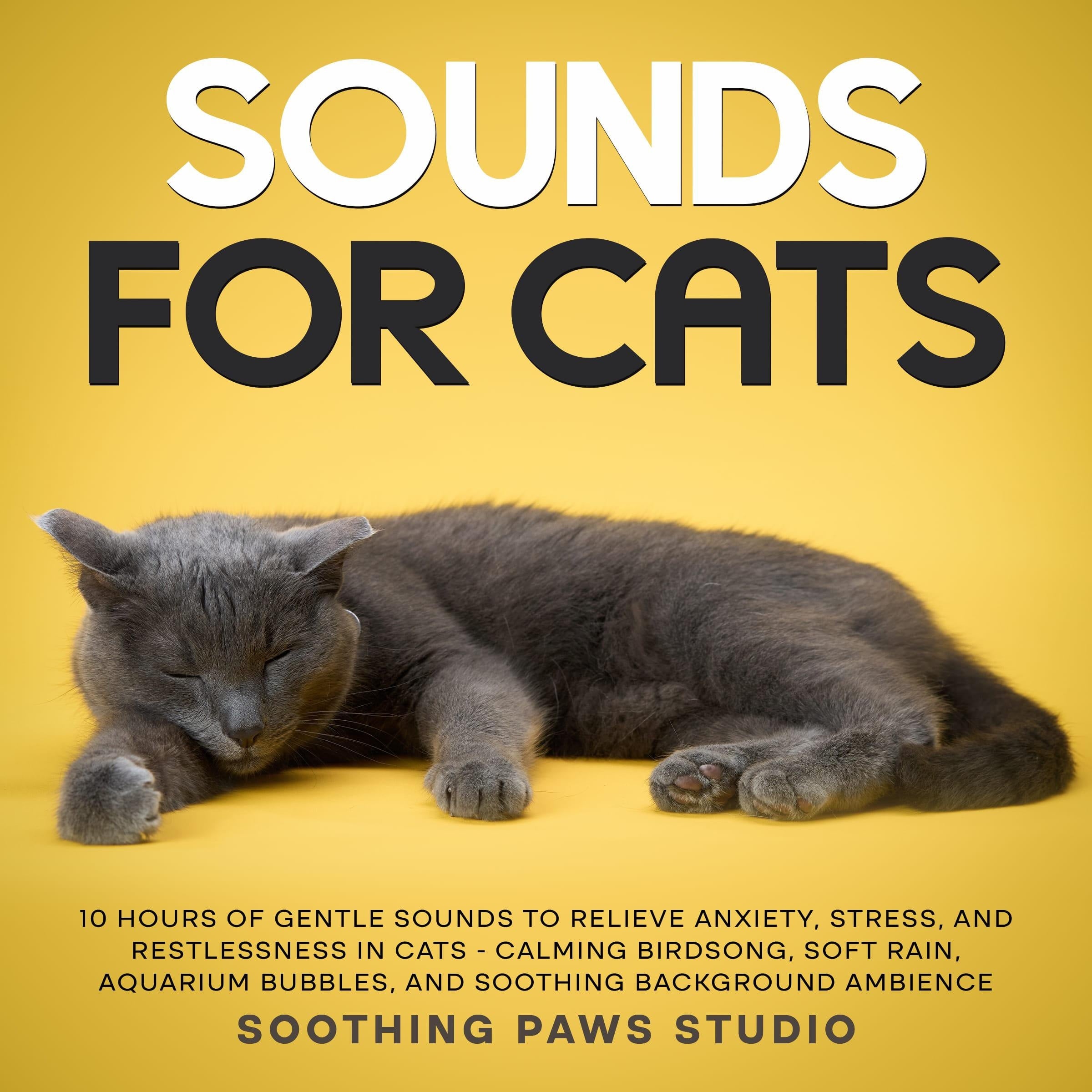 Sounds for Cats: 10 Hours of Gentle Sounds to Relieve Anxiety, Stress, and Restlessness in Cats - Calming Birdsong, Soft Rain, Aquarium Bubbles, and Soothing Background Ambience