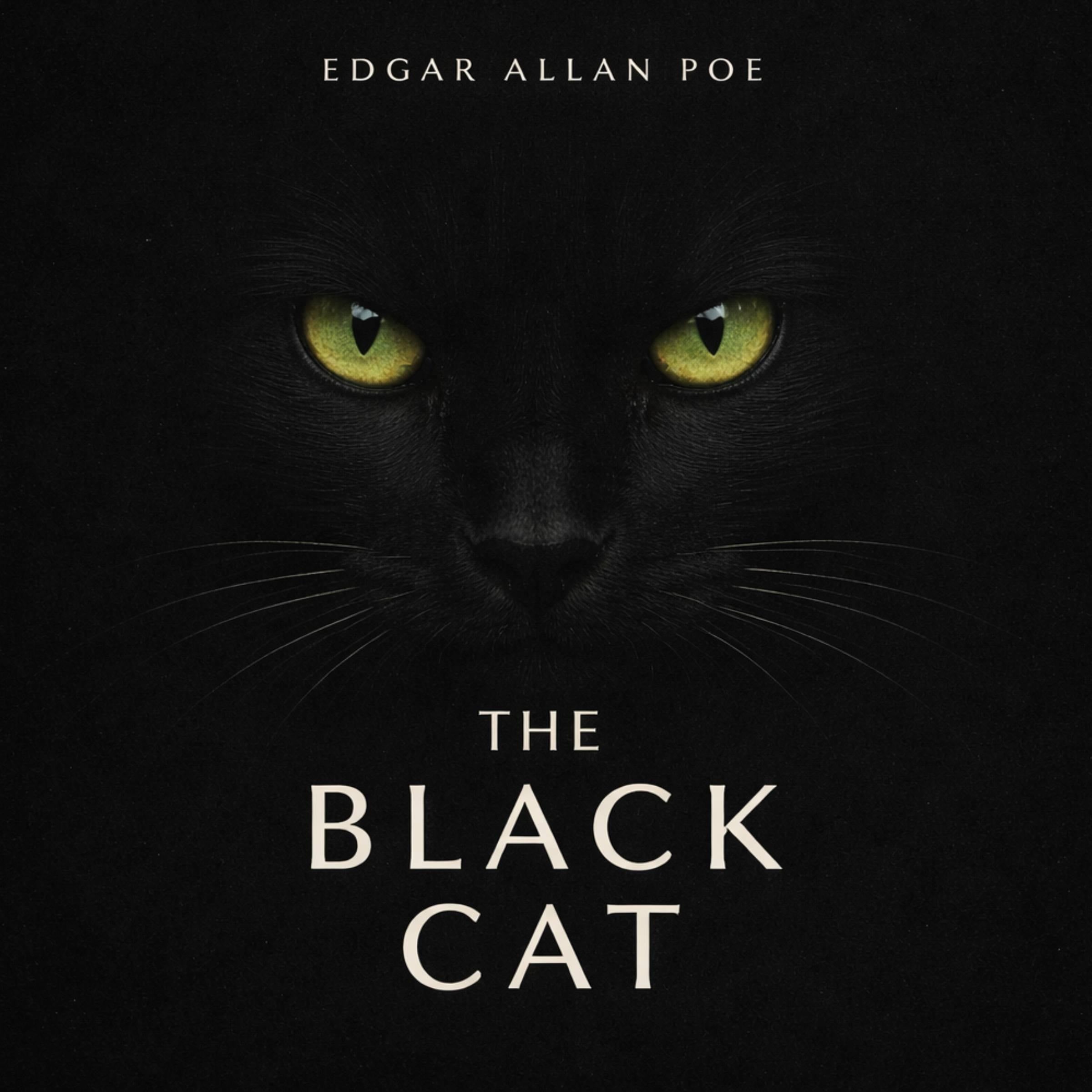 The Black Cat