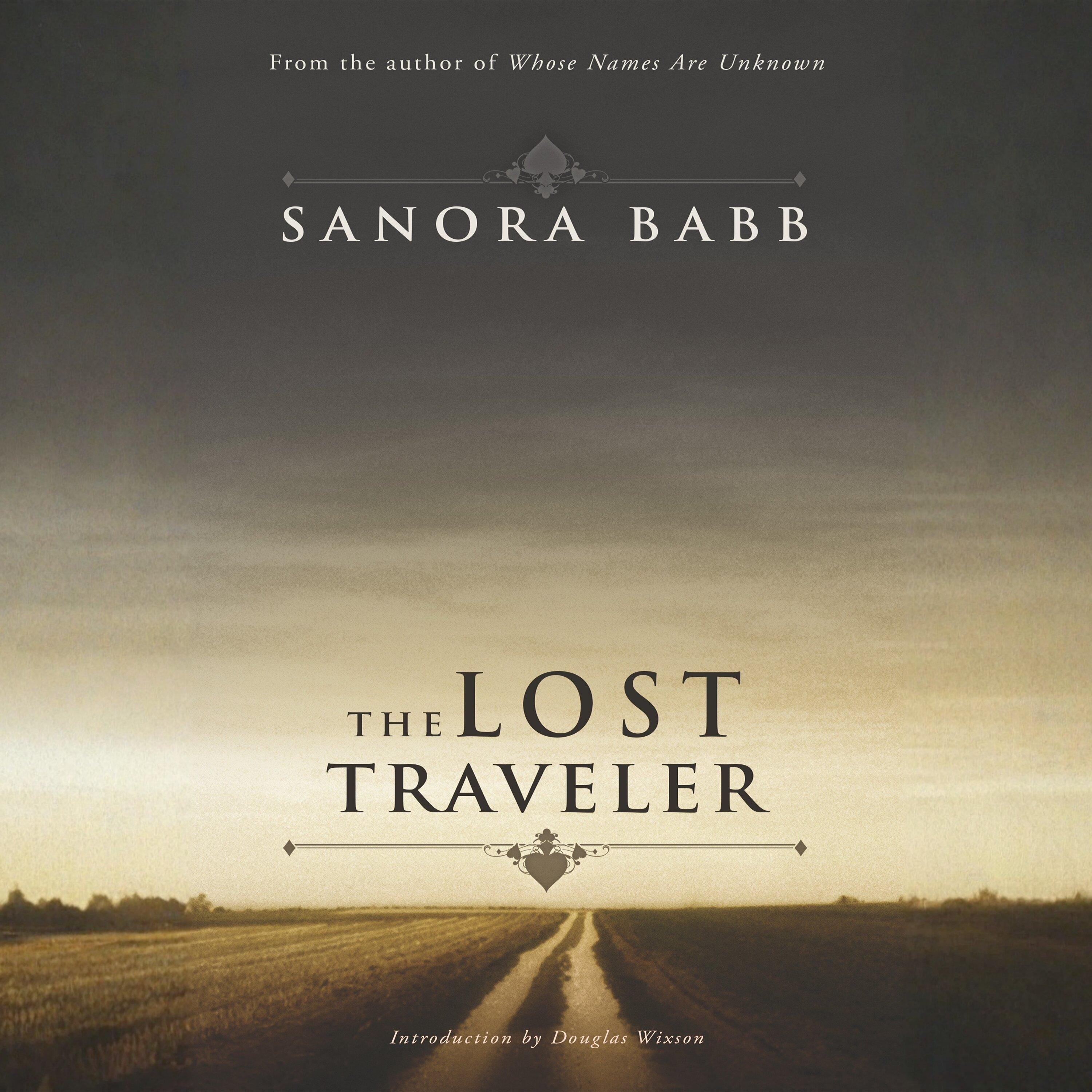 The Lost Traveler
