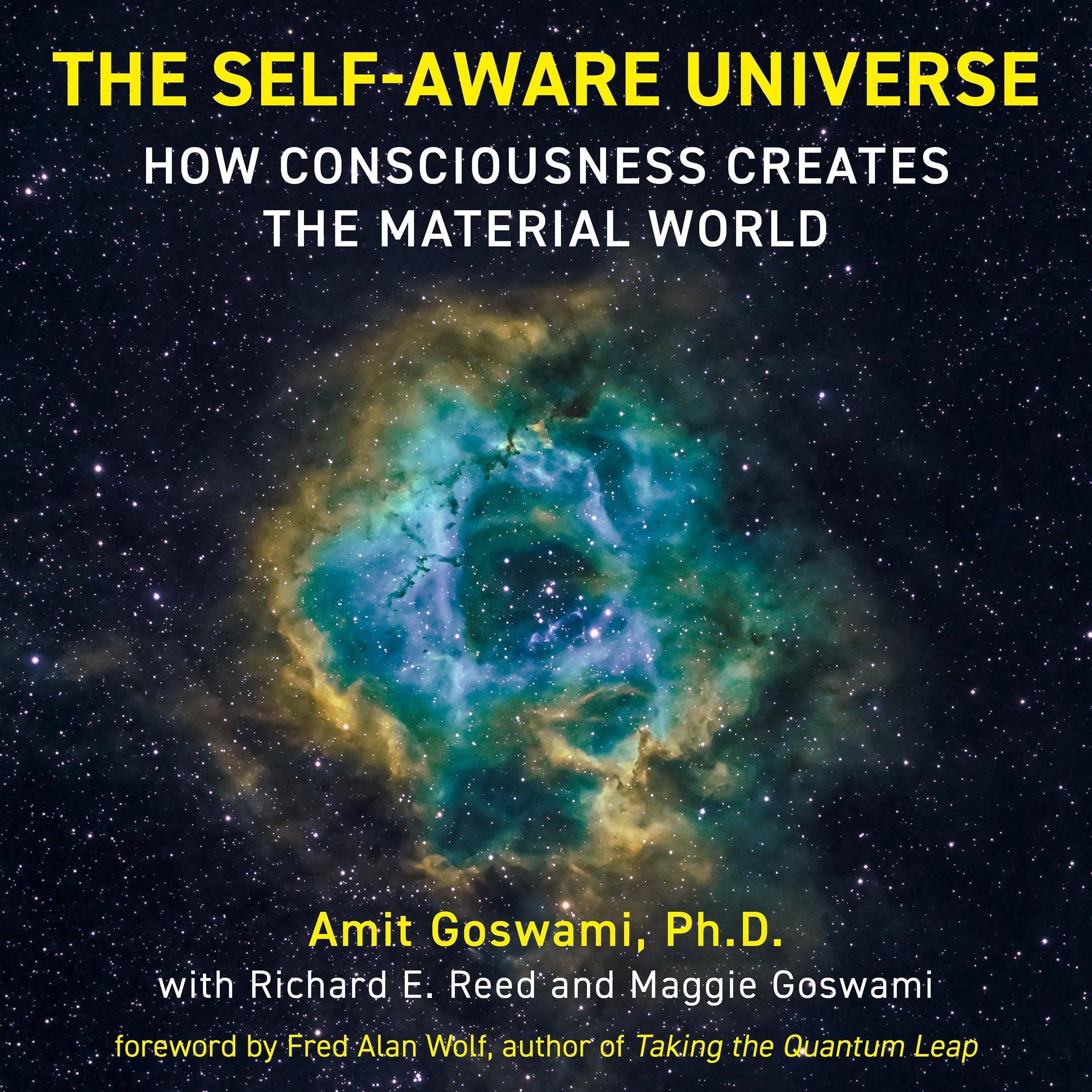 The Self-Aware Universe