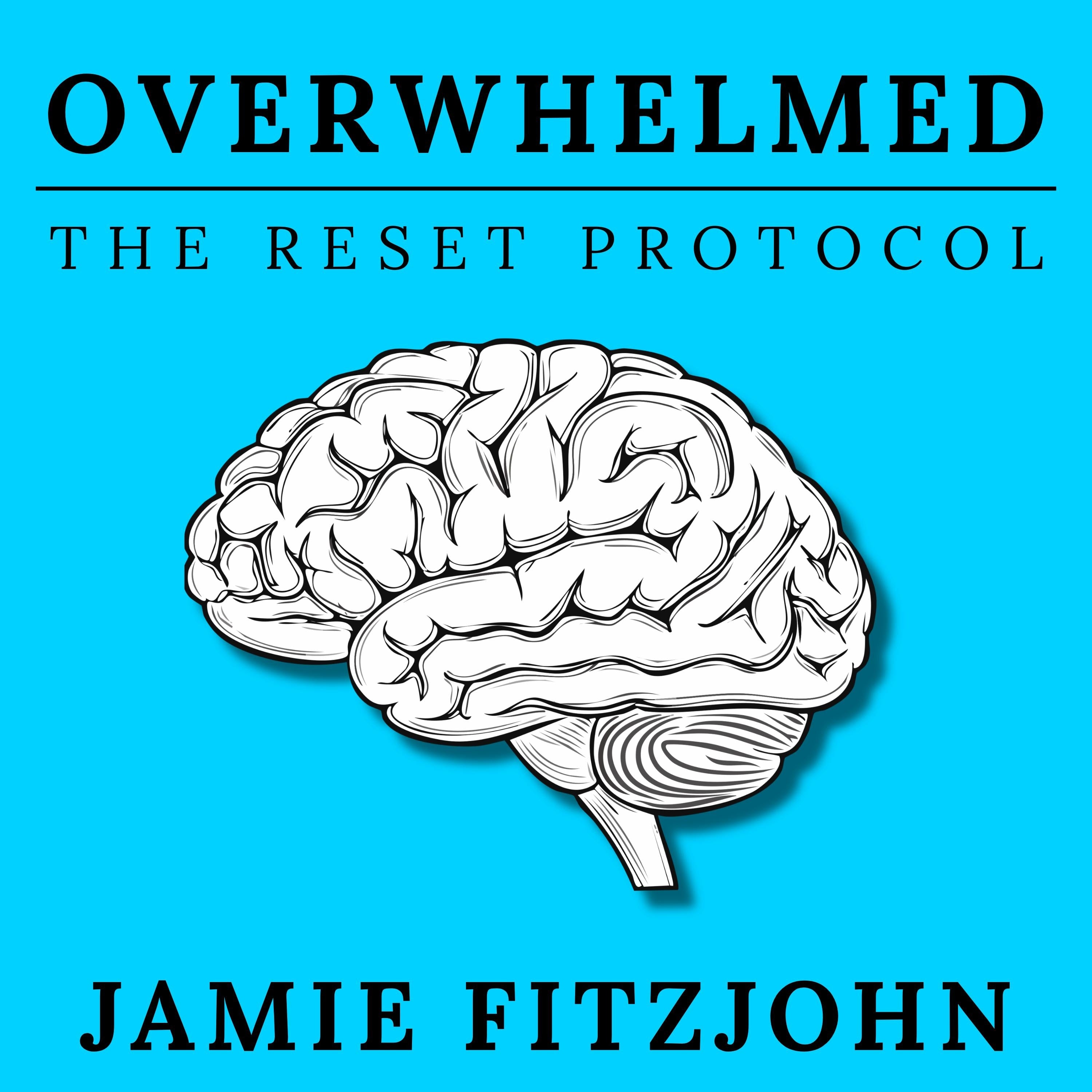 Feeling Overwhelmed: The Reset Protocol