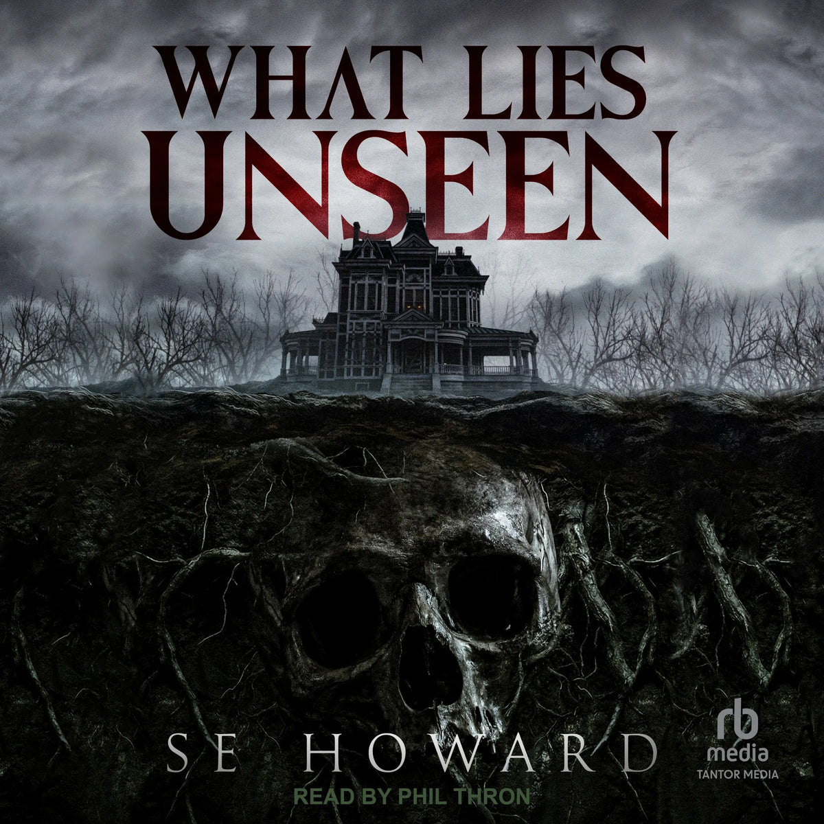 What Lies Unseen