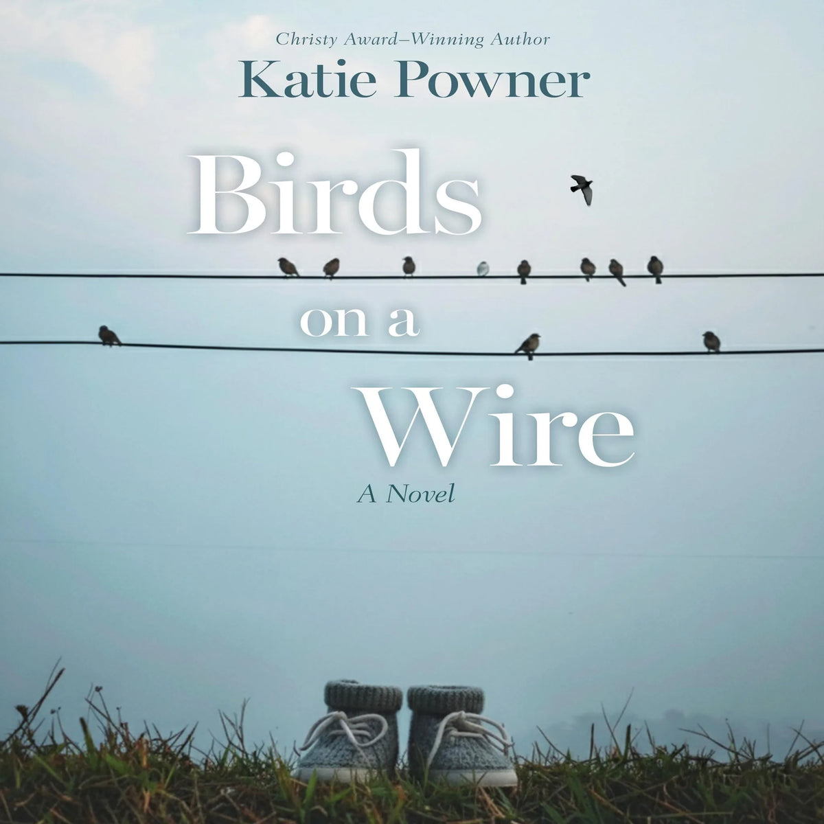 Birds on a Wire