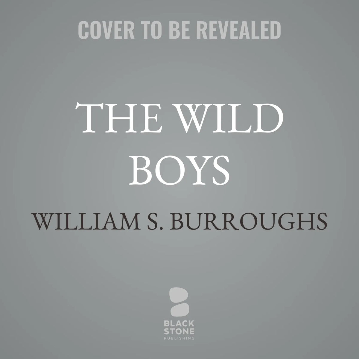 The Wild Boys
