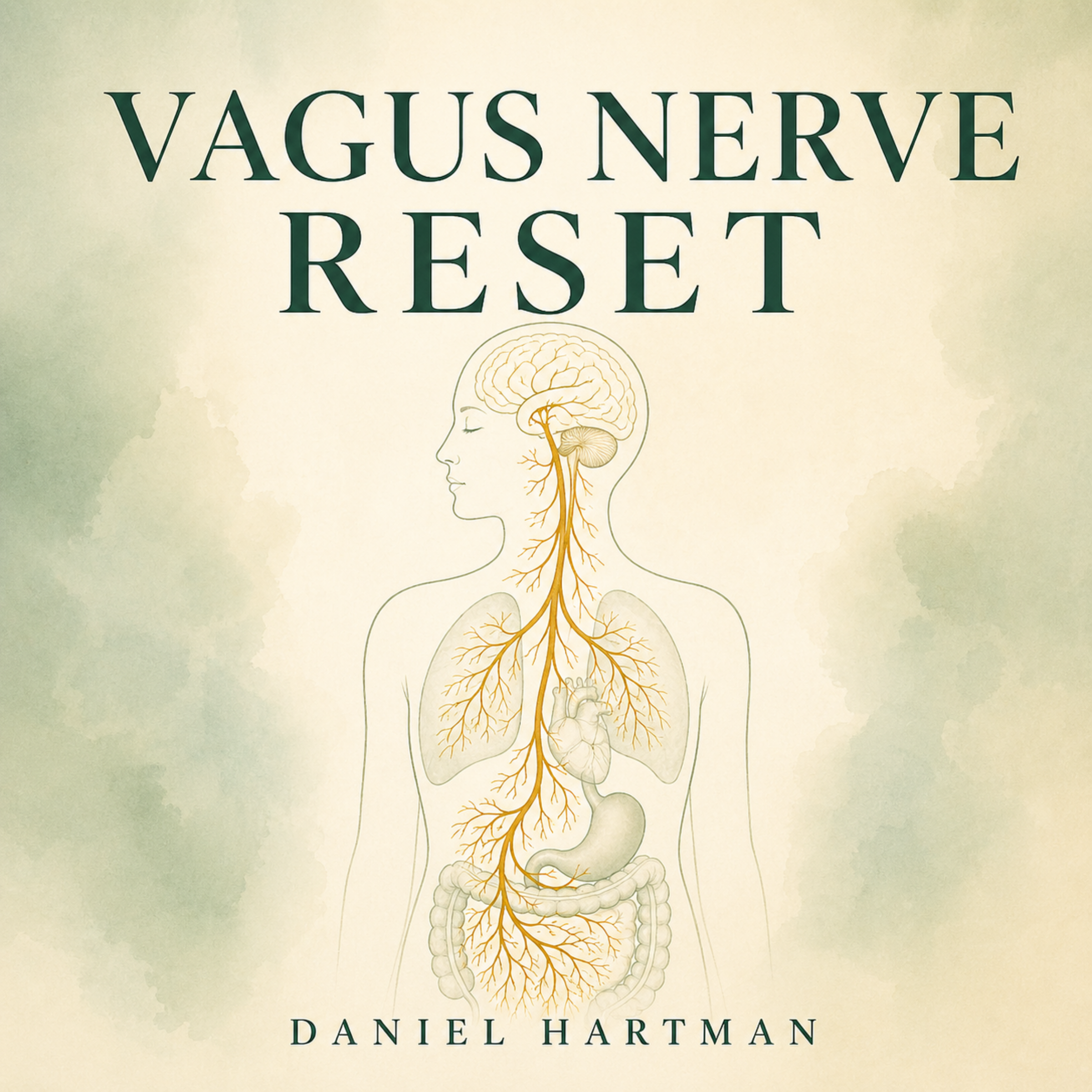 Vagus Nerve Reset
