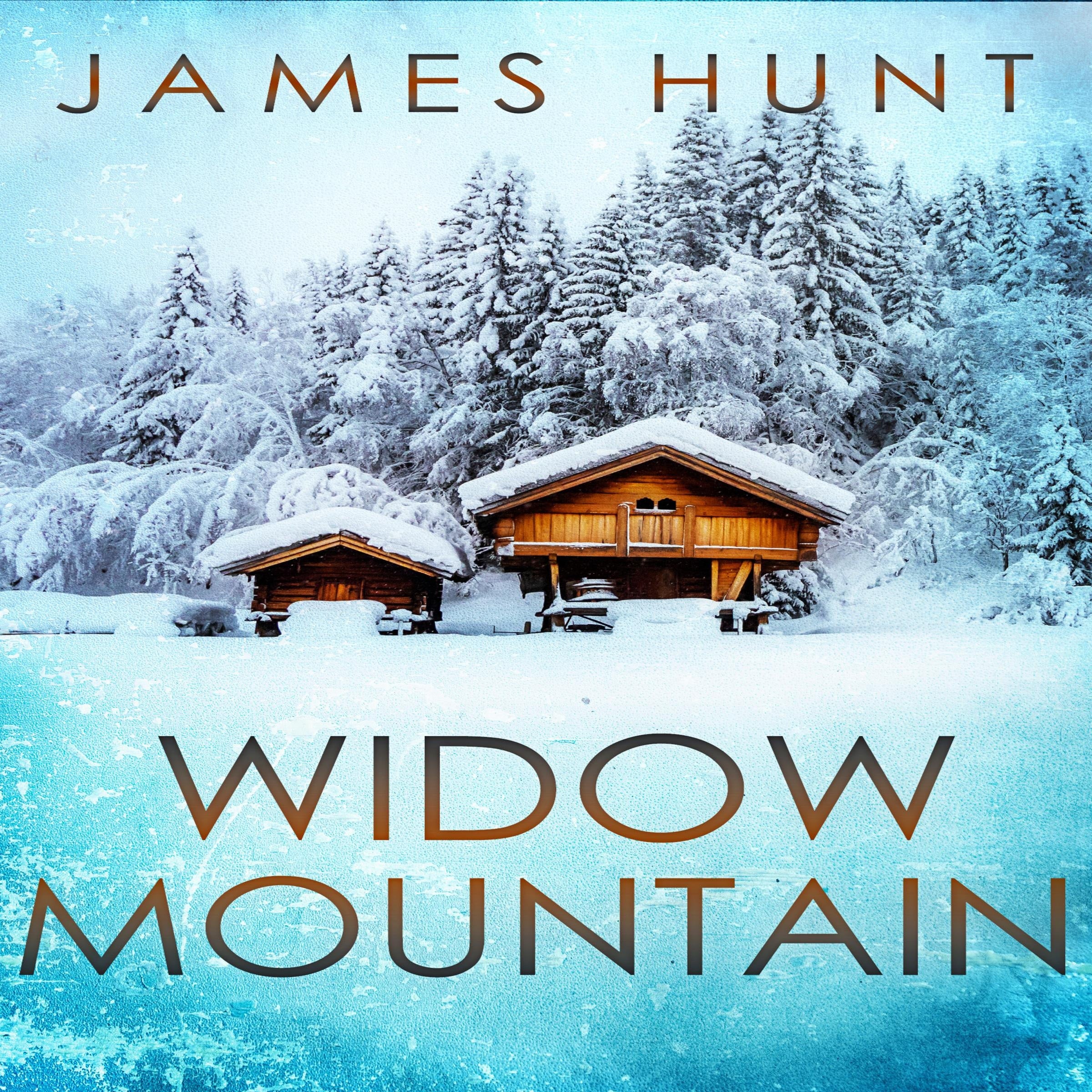 Widow Mountain: A Small Town Post Apocalypse EMP Thriller
