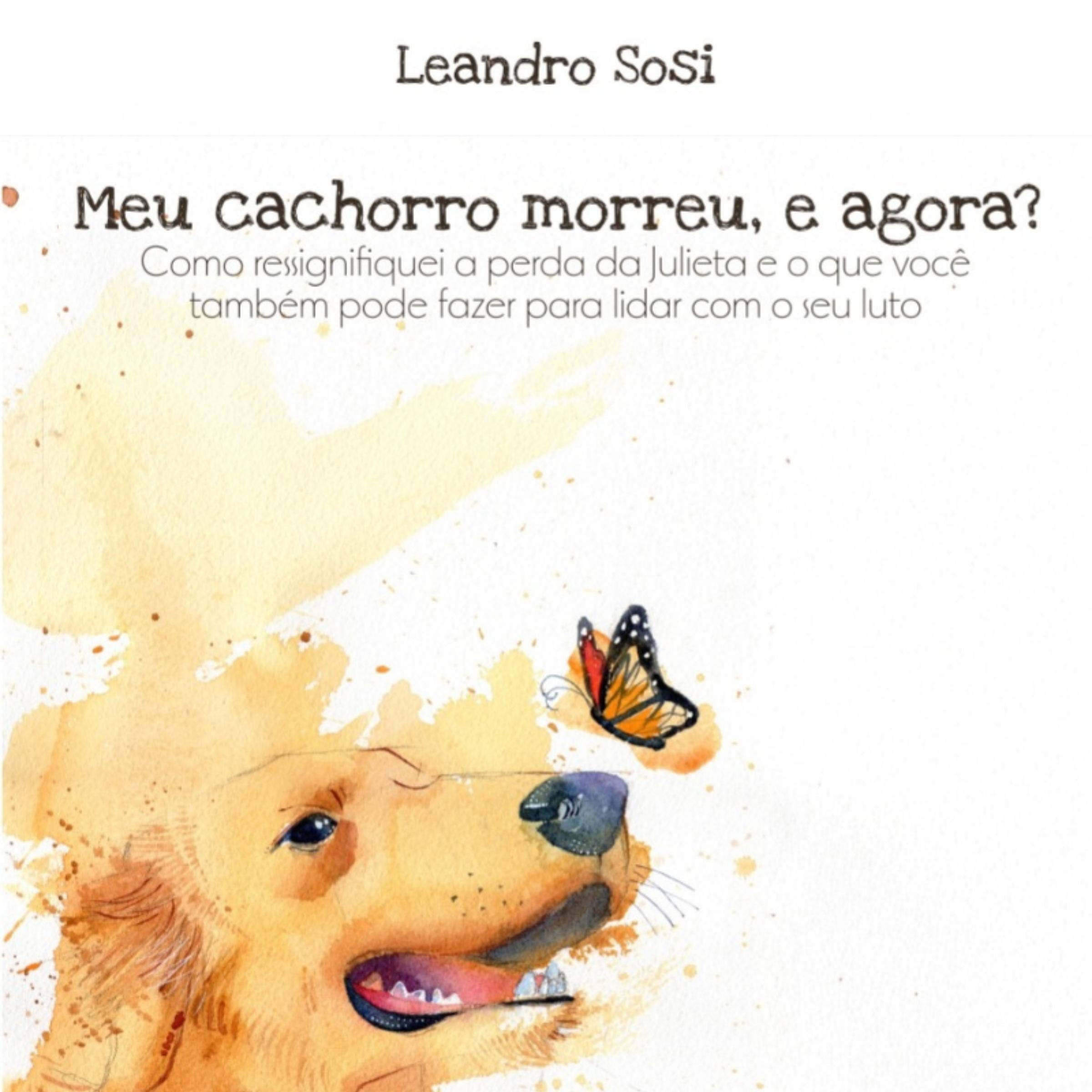 Meu cachorro morreu, e agora?