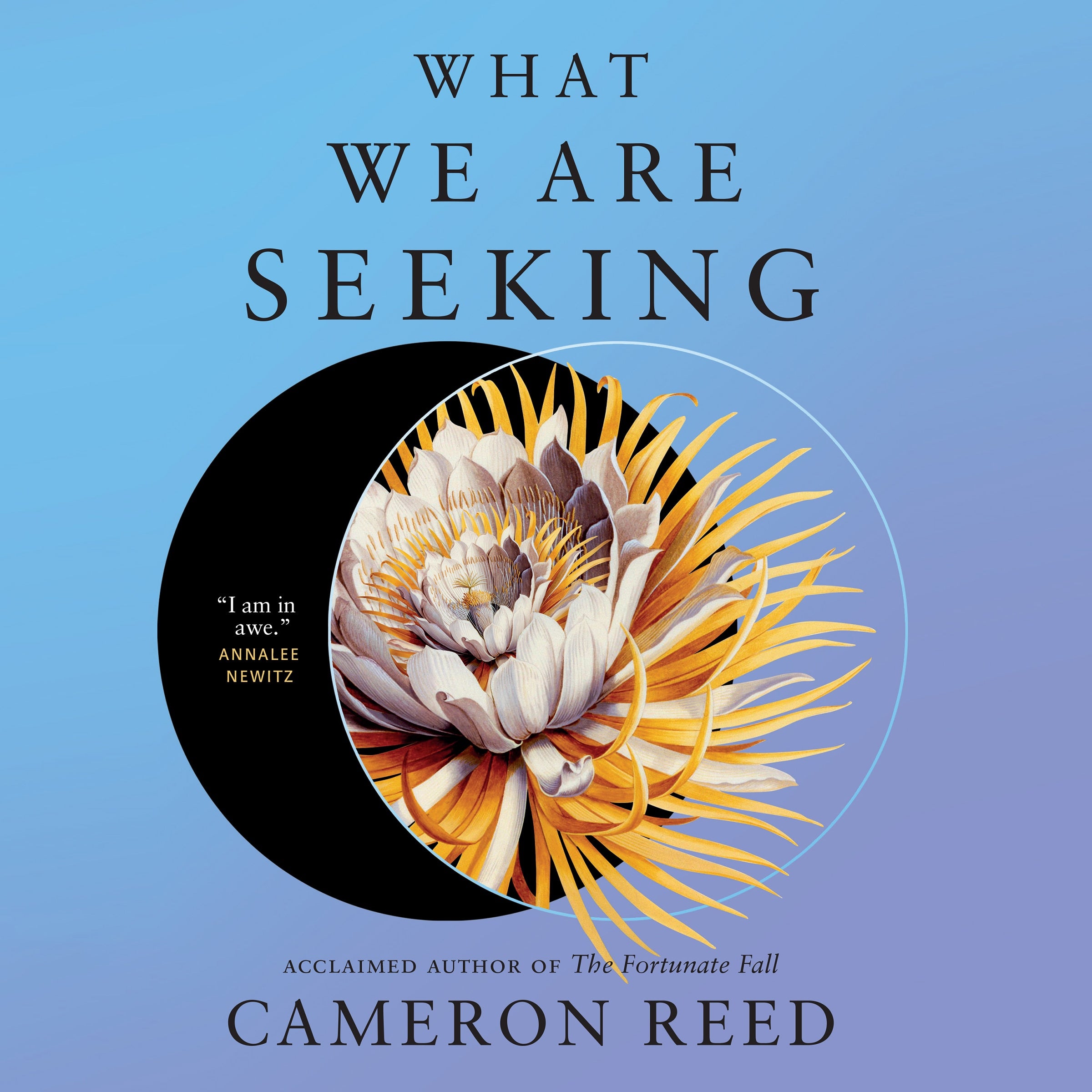 What We Are Seeking