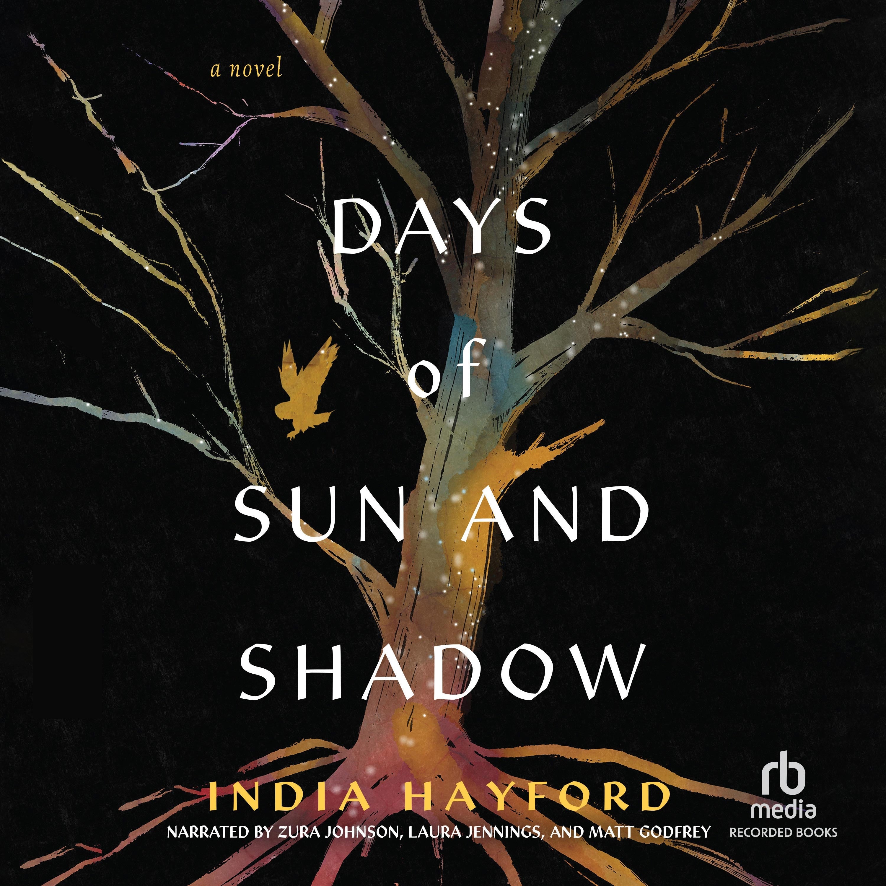 Days of Sun and Shadow