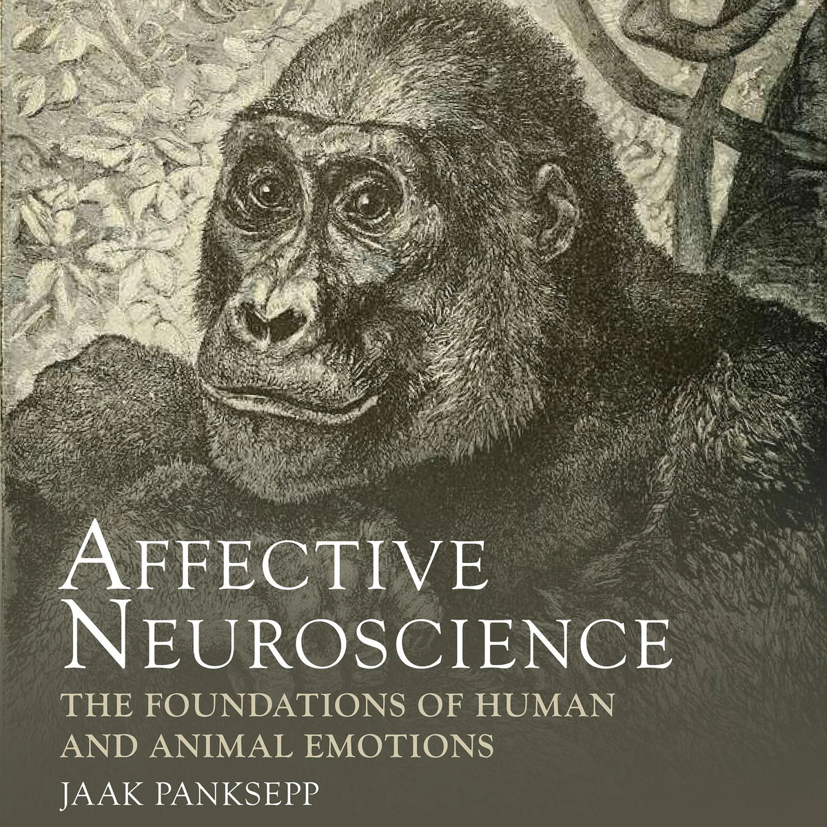 Affective Neuroscience