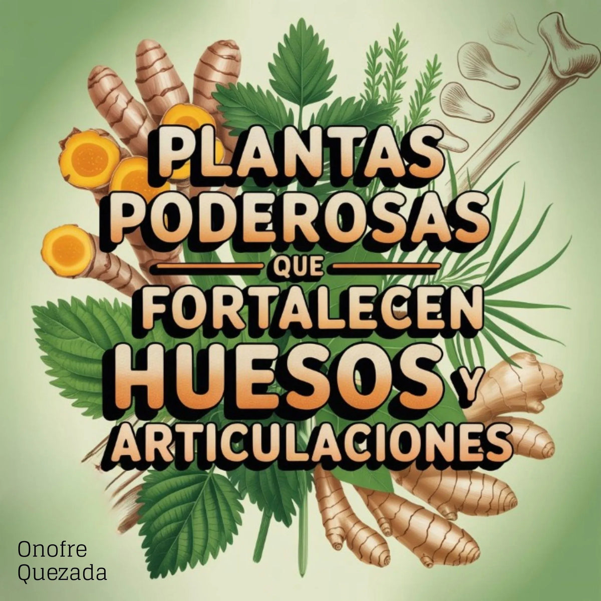 Plantas Poderosas Que Fortalecen Huesos Y Articulaciones