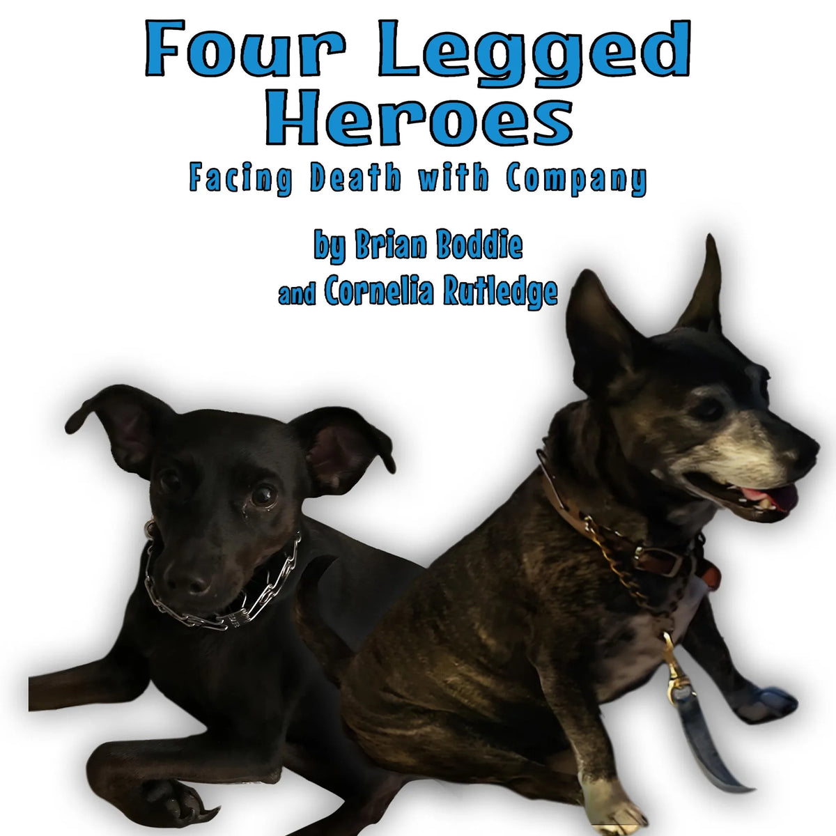 Four-Legged Heroes