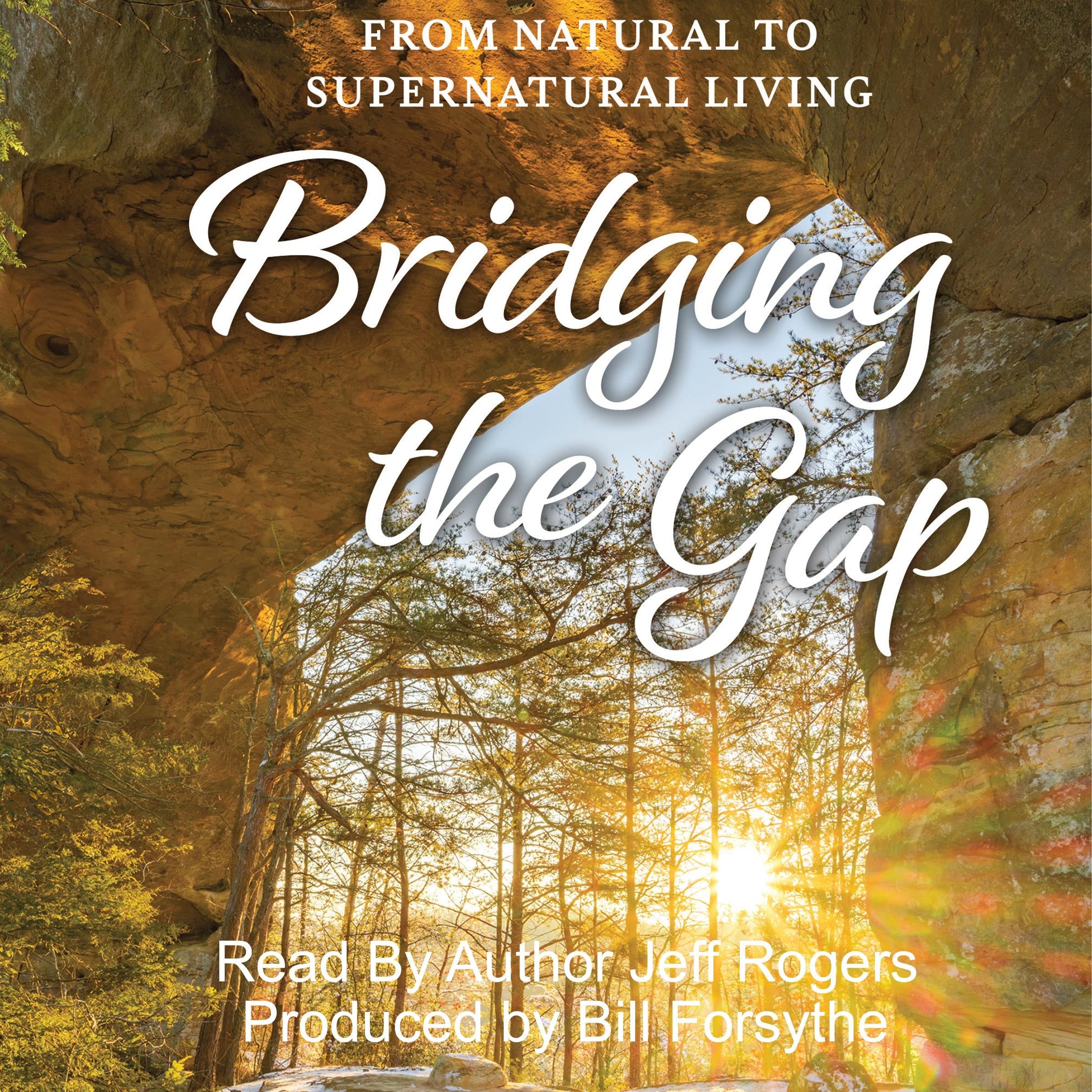 Bridging The Gap