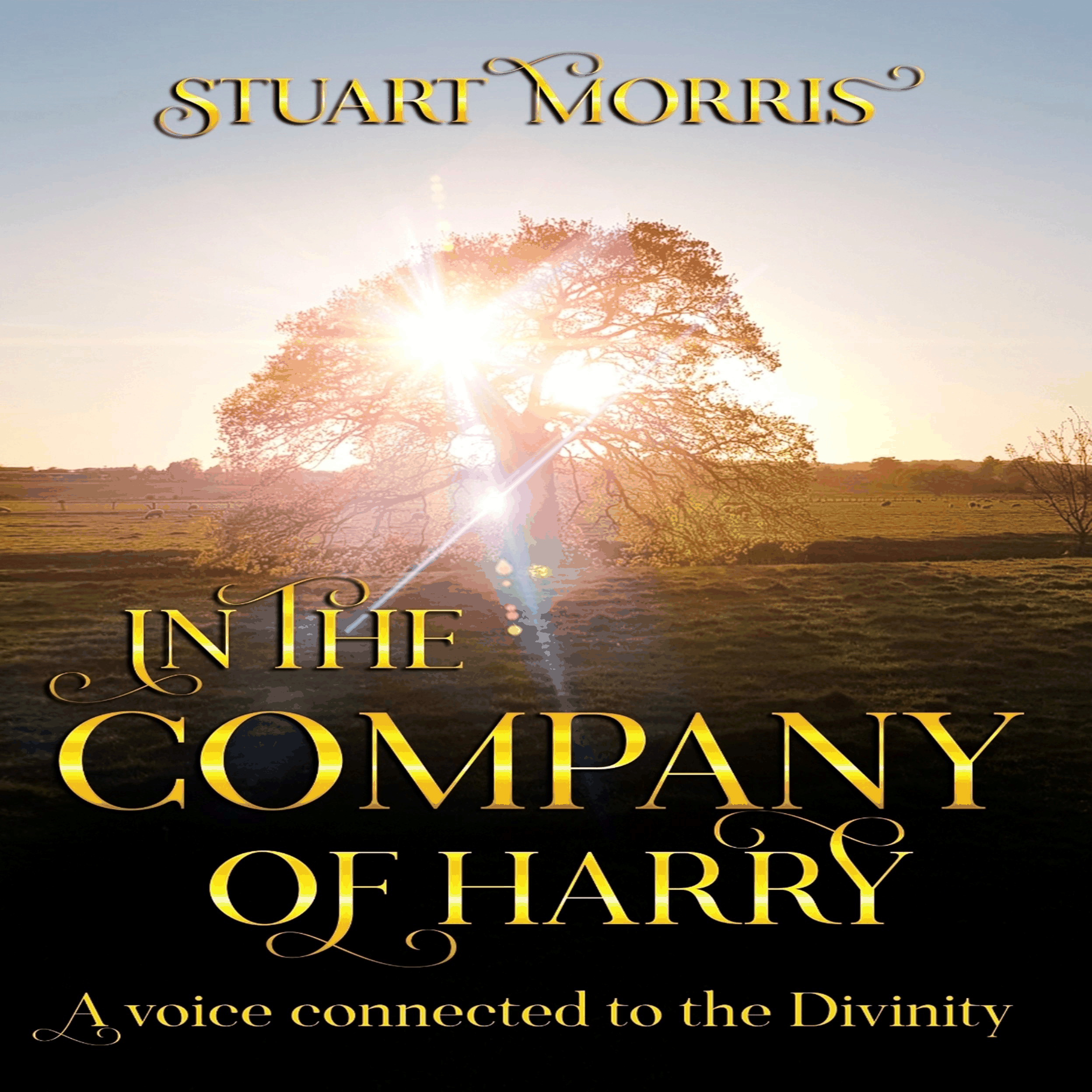 In the company of Harry