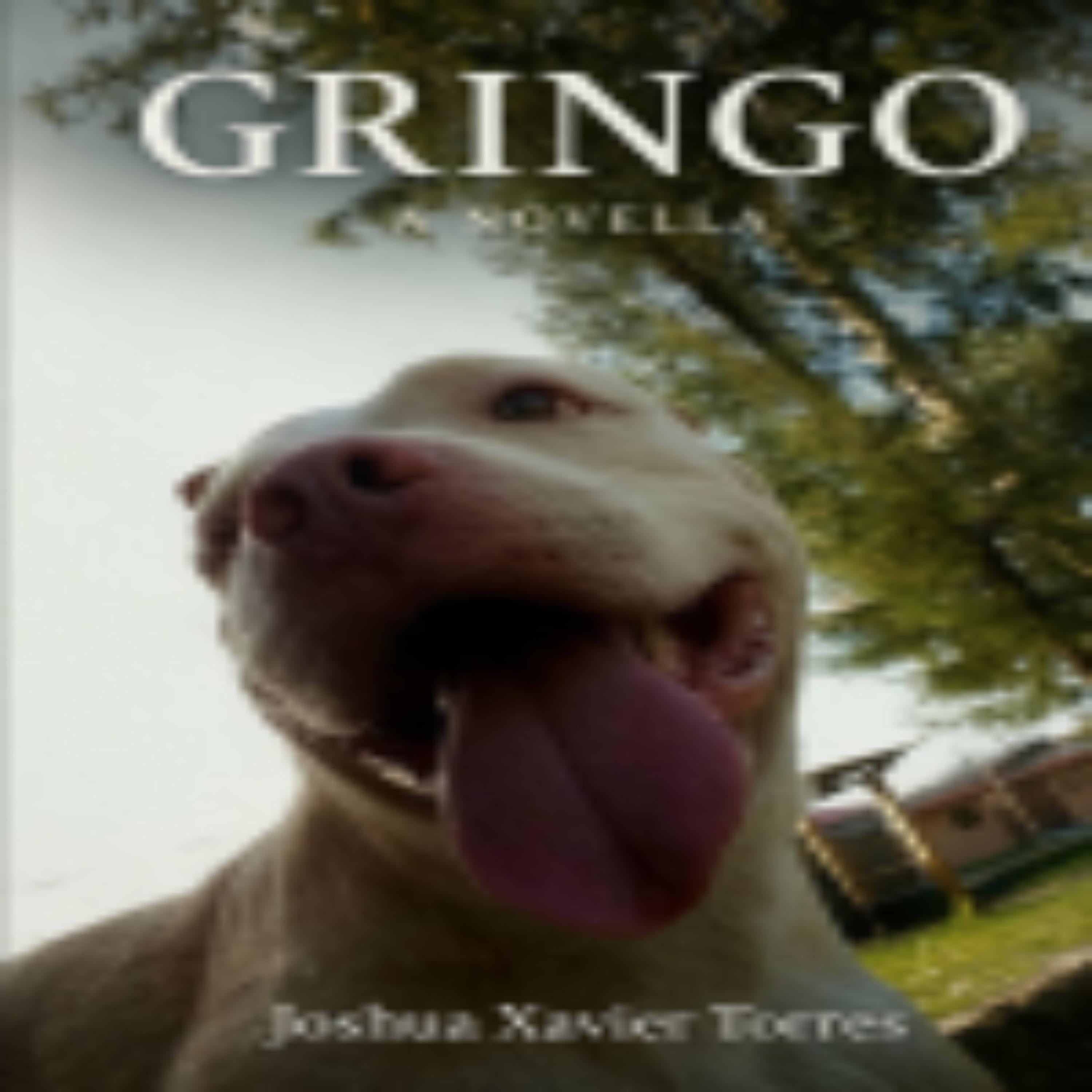 Gringo's Journey to Freedom (AI Narration Edition)