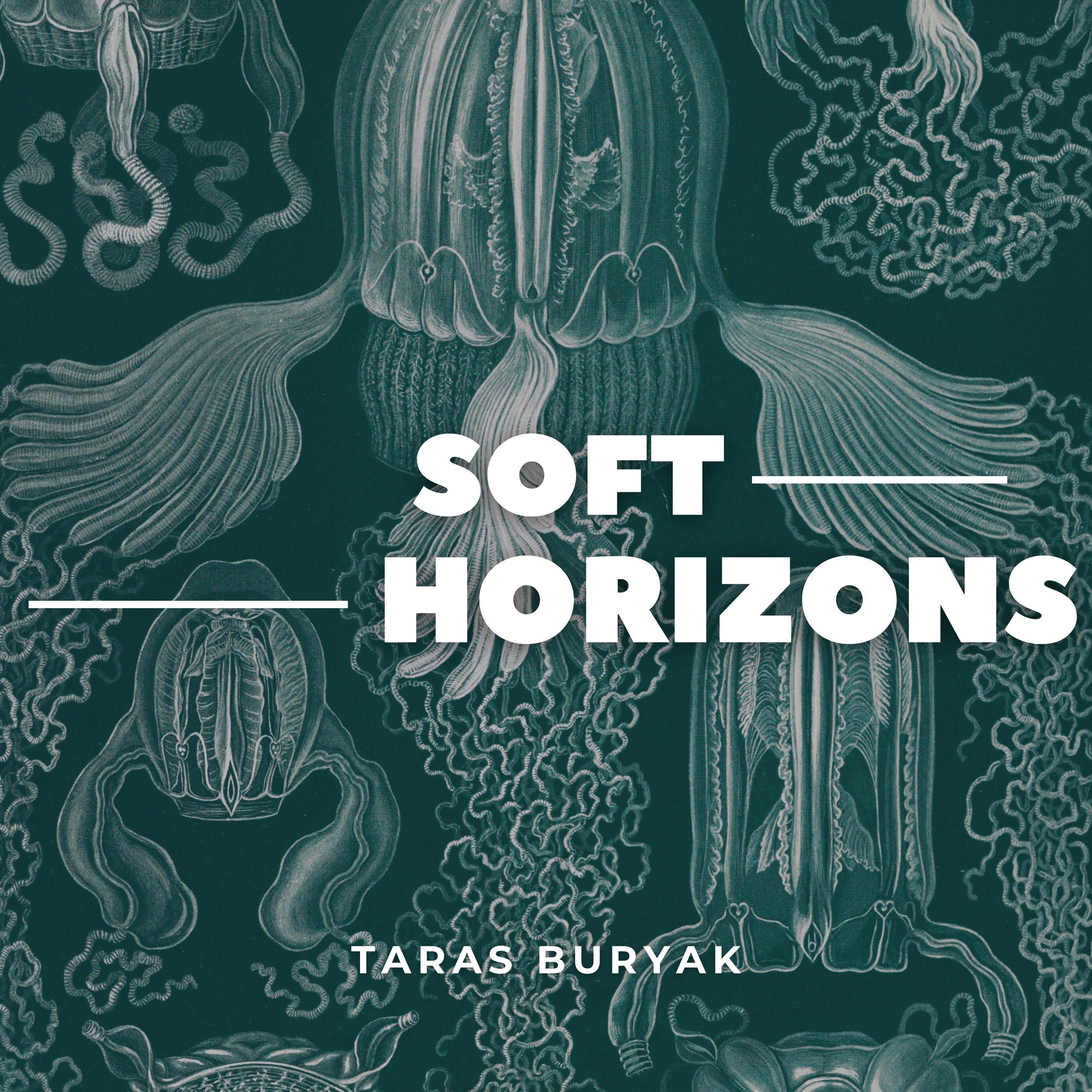 Soft Horizons