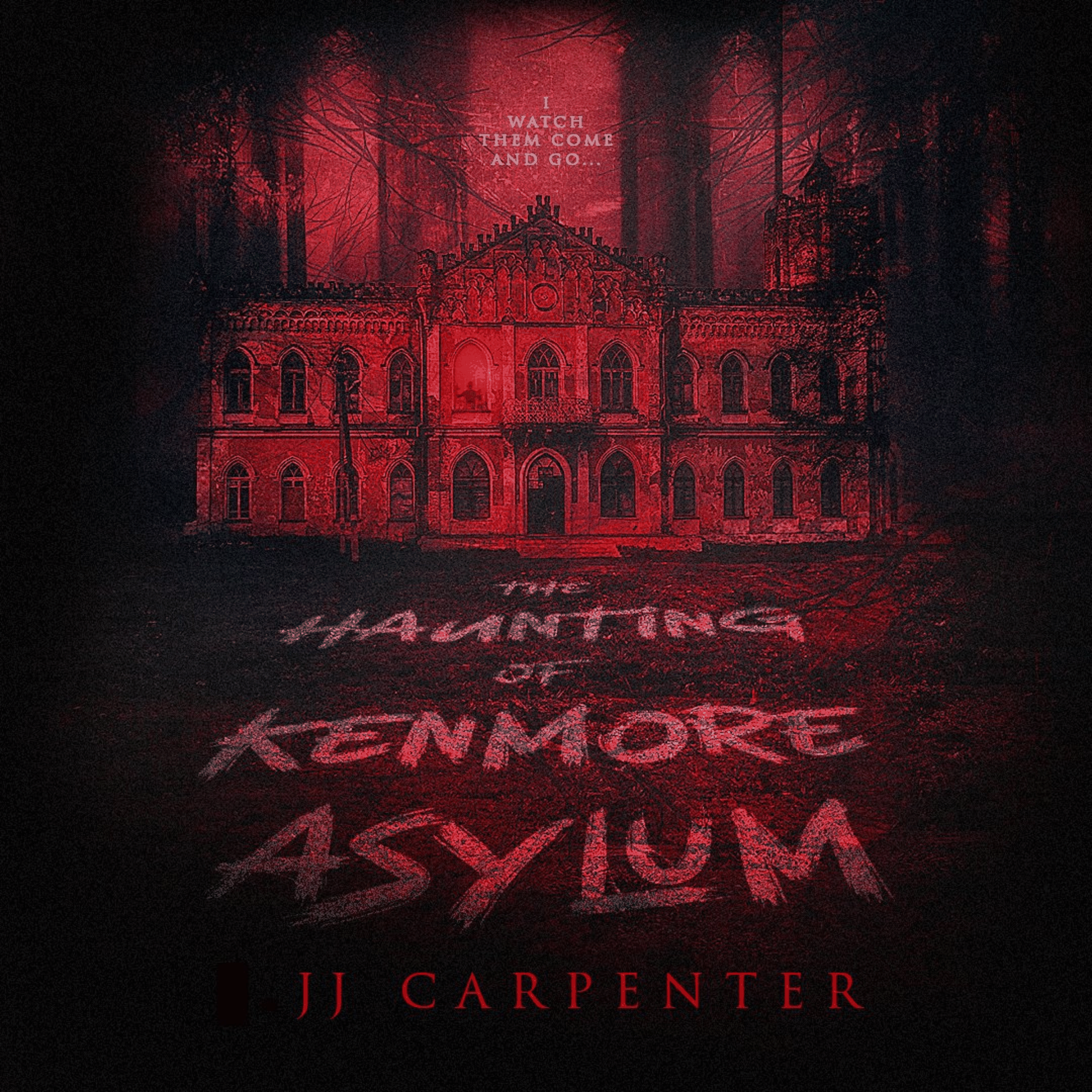 The Haunting of Kenmore Asylum