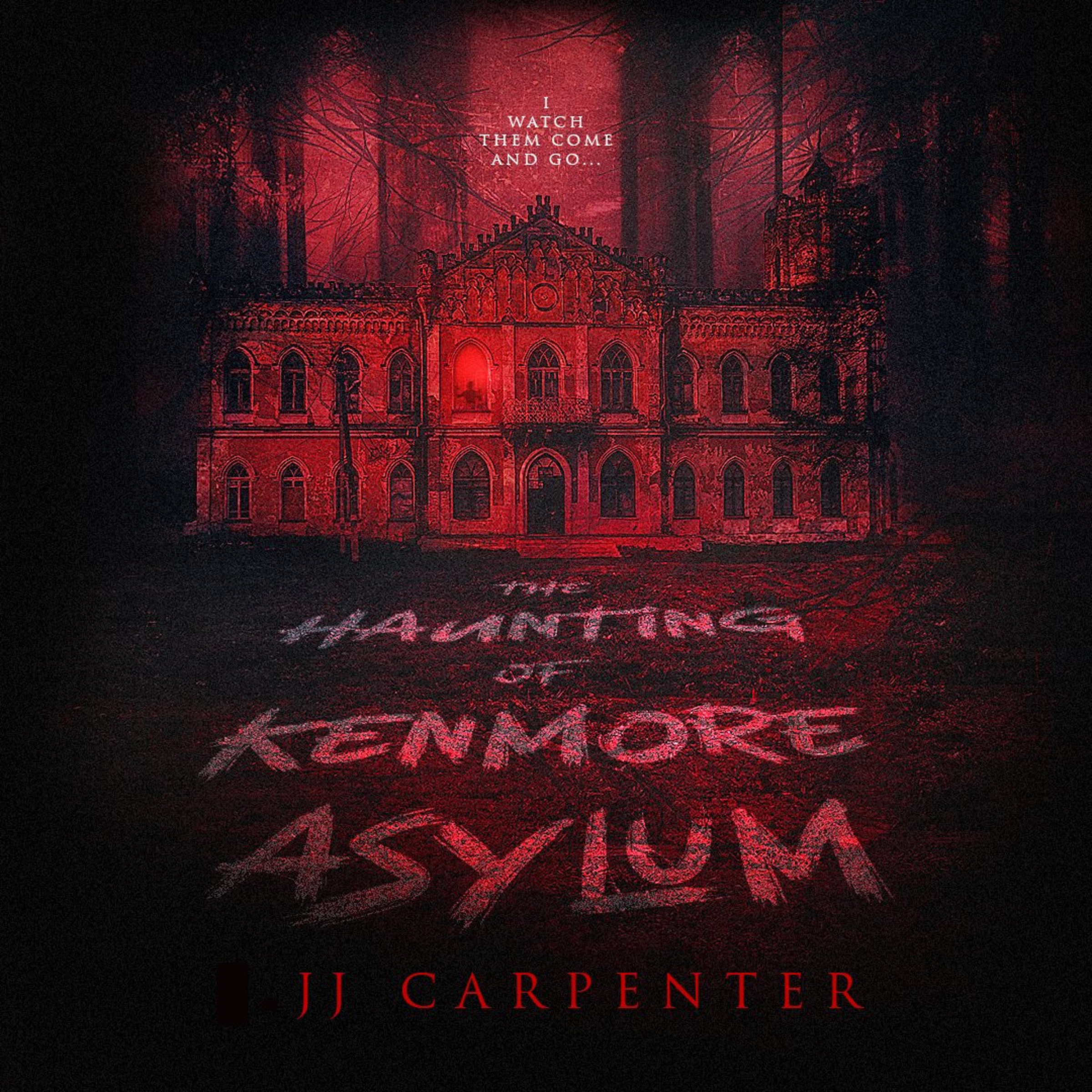 The Haunting of Kenmore Asylum