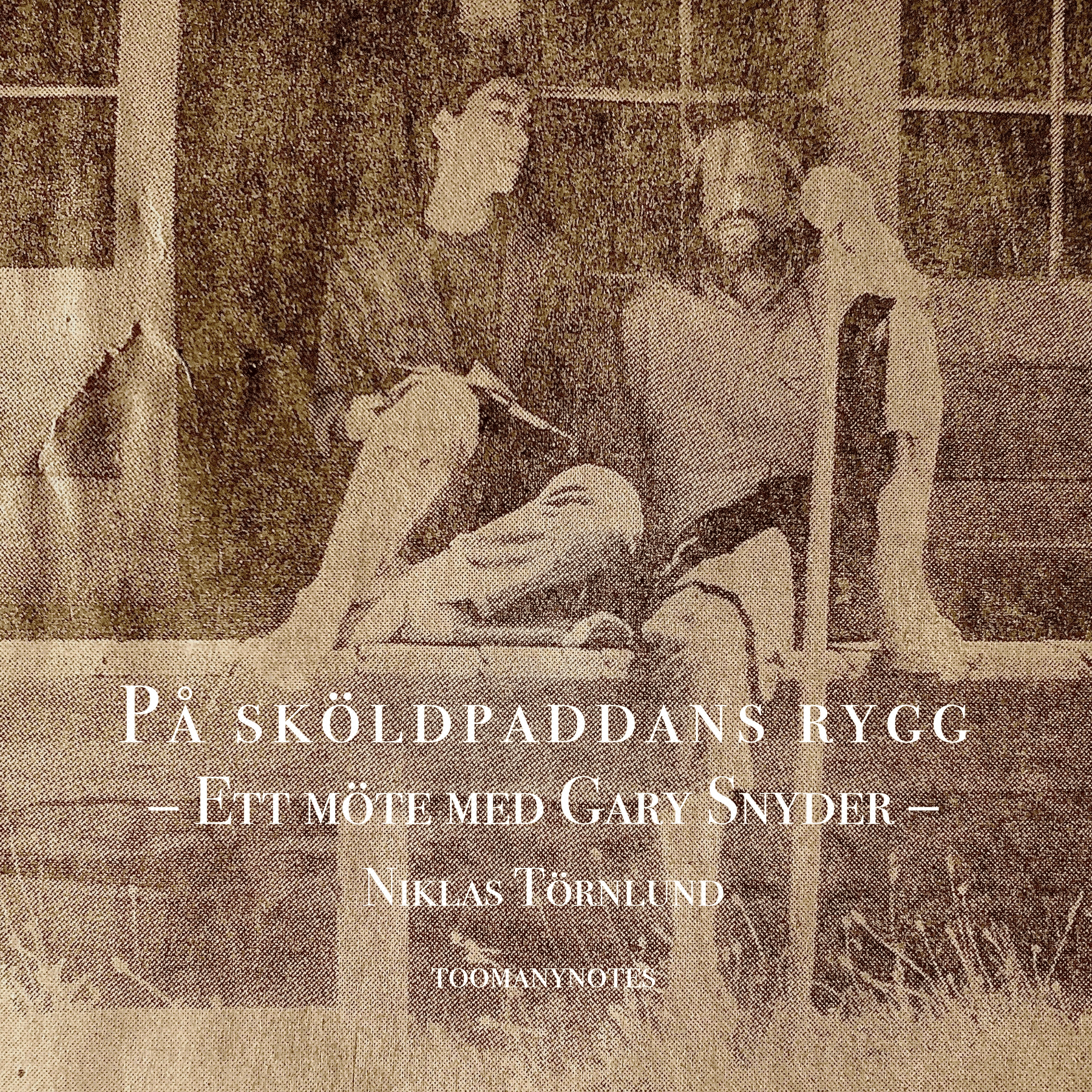 På sköldpaddans rygg