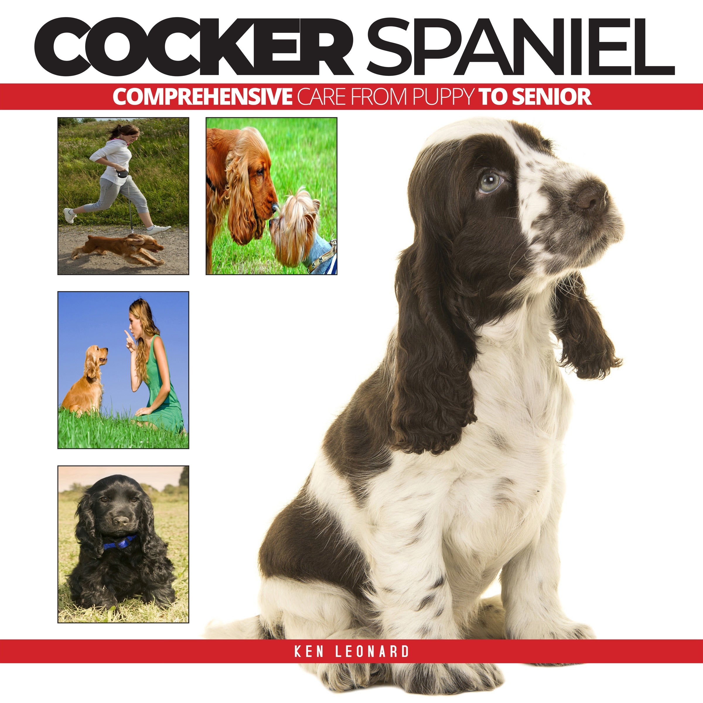COCKER SPANIEL