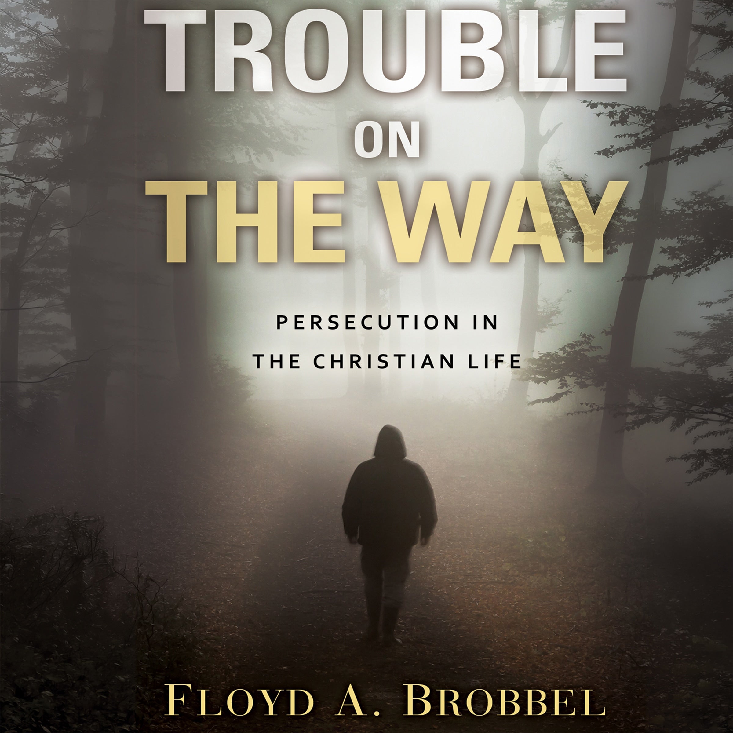 Trouble On The Way
