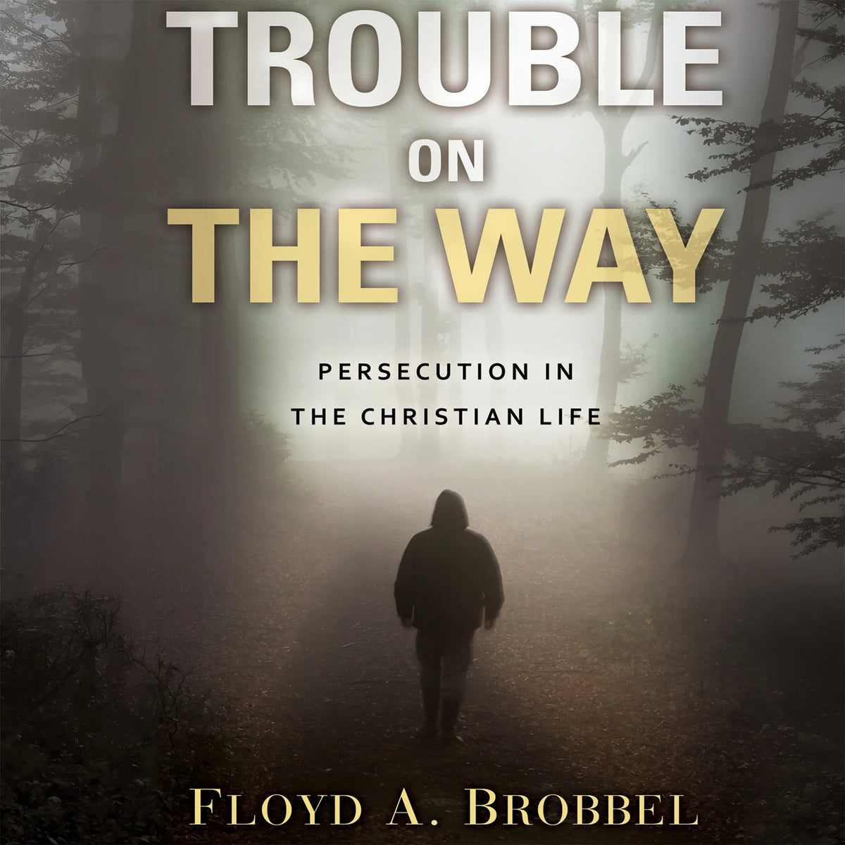 Trouble On The Way