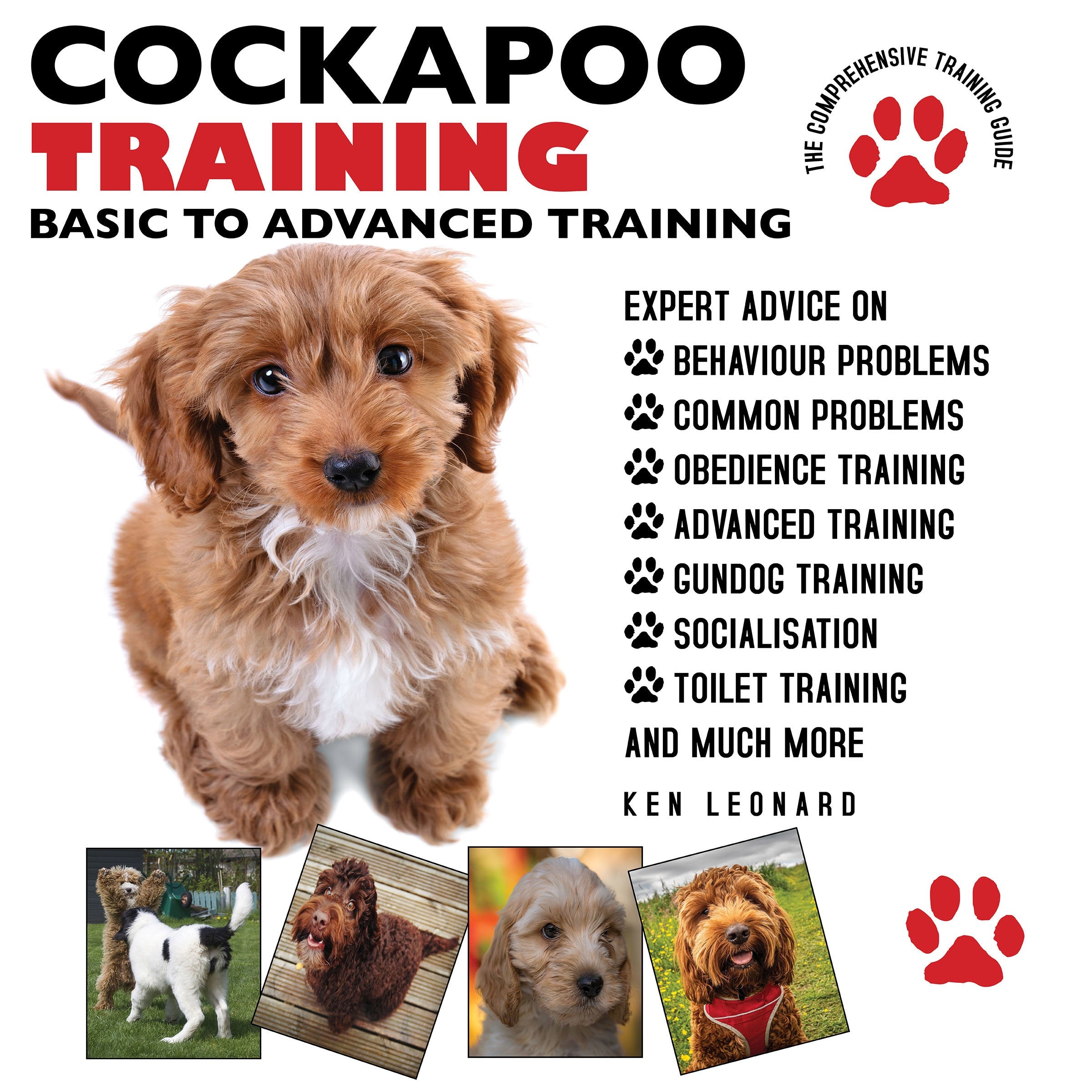 Cockapoo