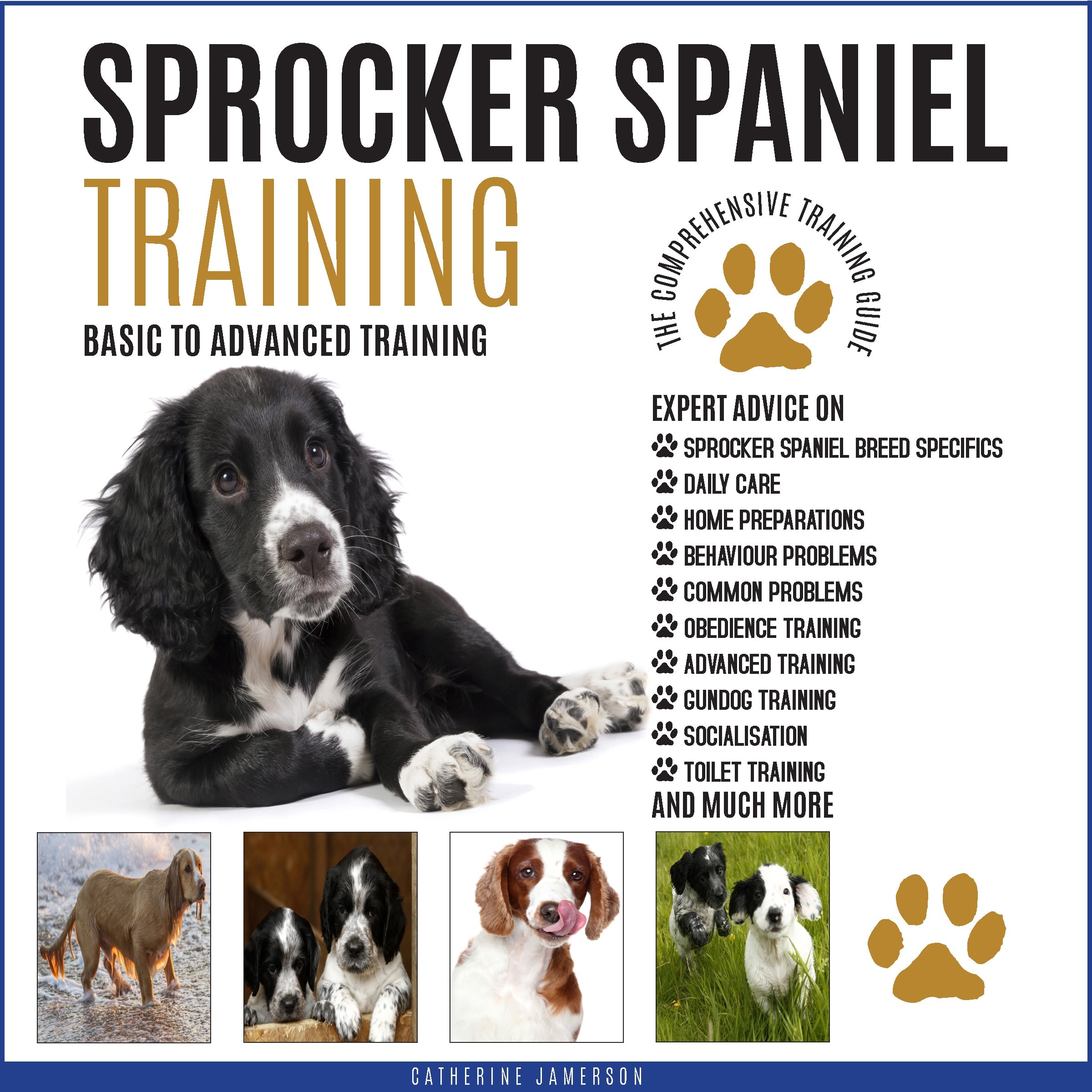 Sprocker Spaniel Training
