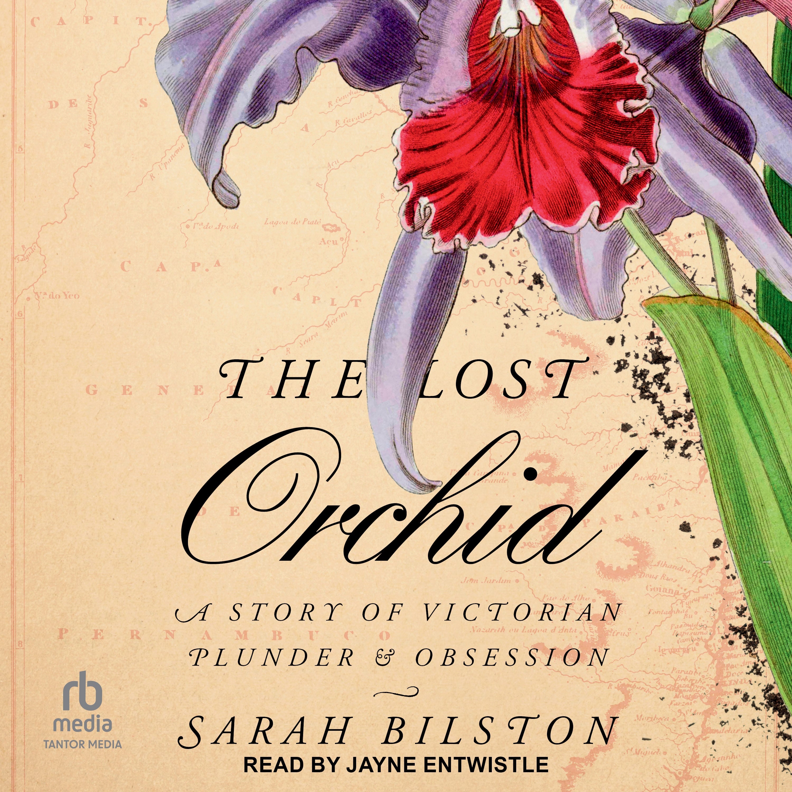 The Lost Orchid