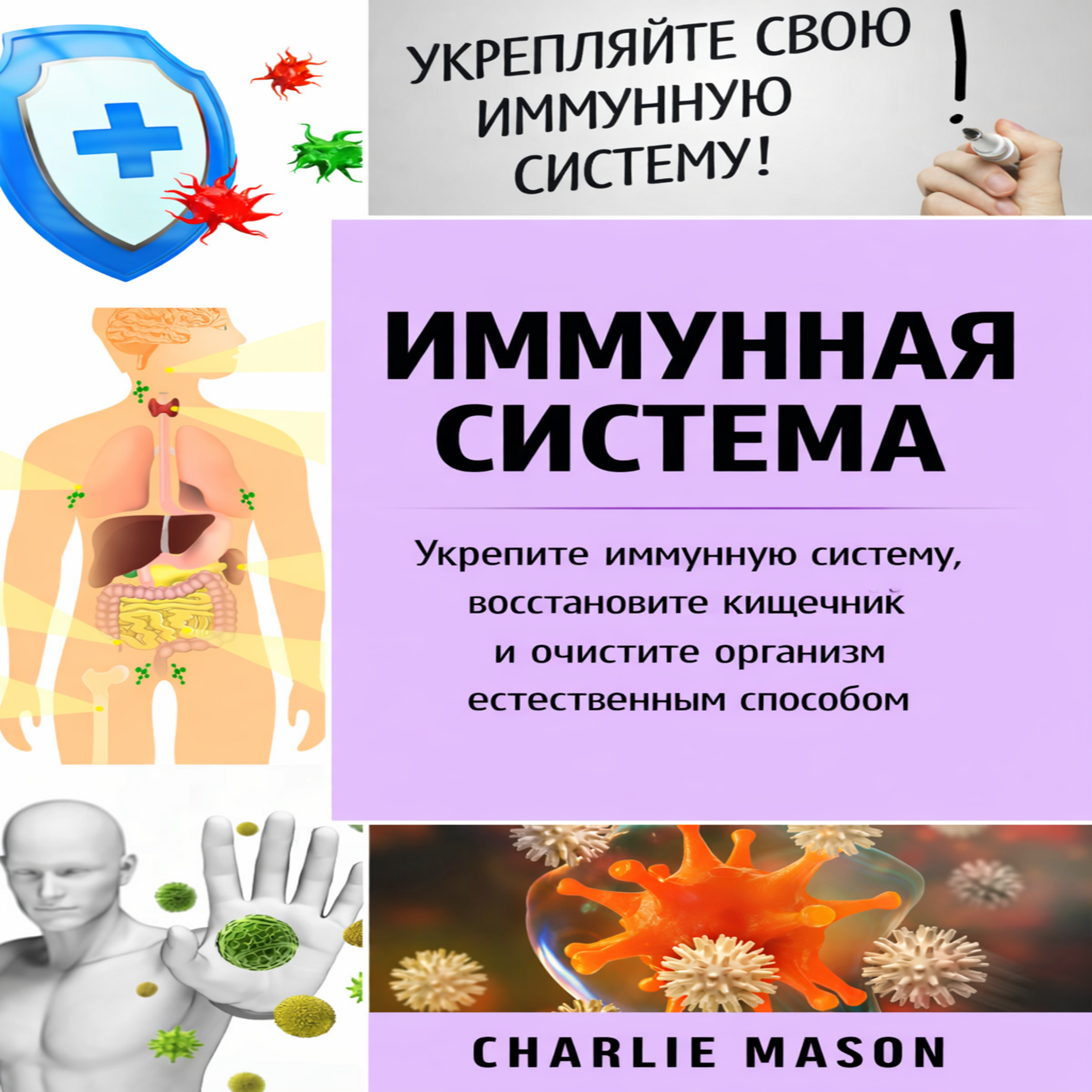 Иммунная система: укрепите иммунную систему, оздоровите кишечник и очистите организм естественным путем.